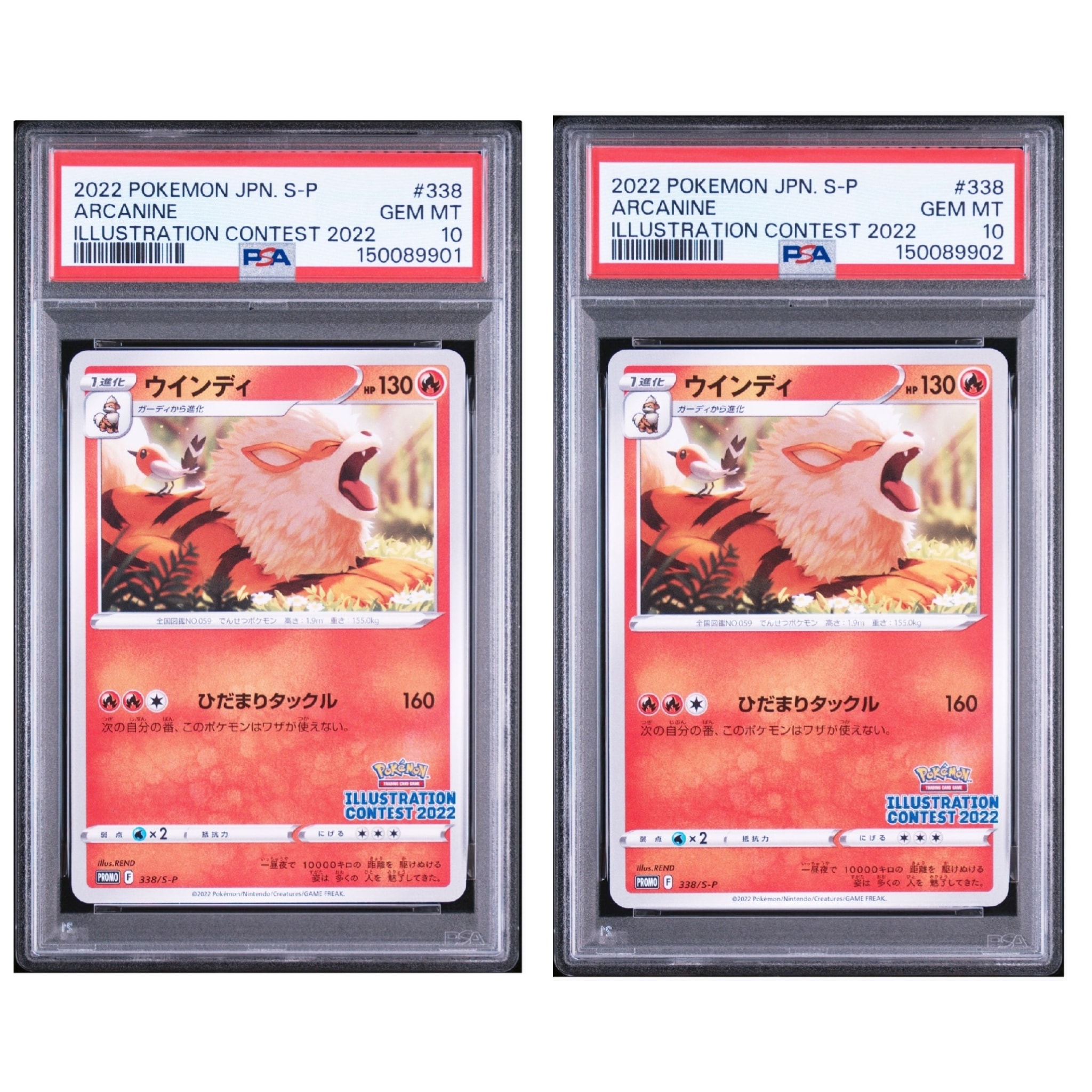 ウインディ プロモ[PROMO338 S-P](プロモーションカード「ポケモンセンター・ポケモンストア・ポケモンセンターオンライン2000円以上購入特典」)