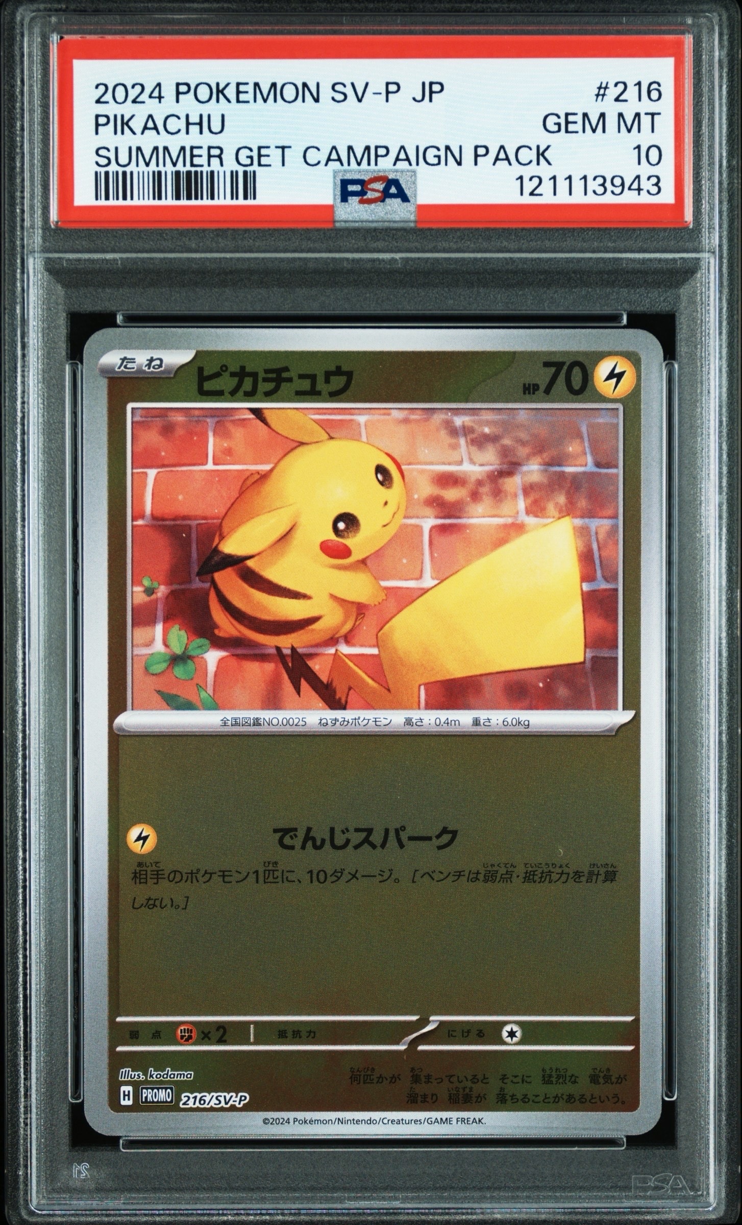 ピカチュウ P [SV-P 216](プロモカードパック「ポケカの夏がキタ!プロモカードGetキャンペーン!」)