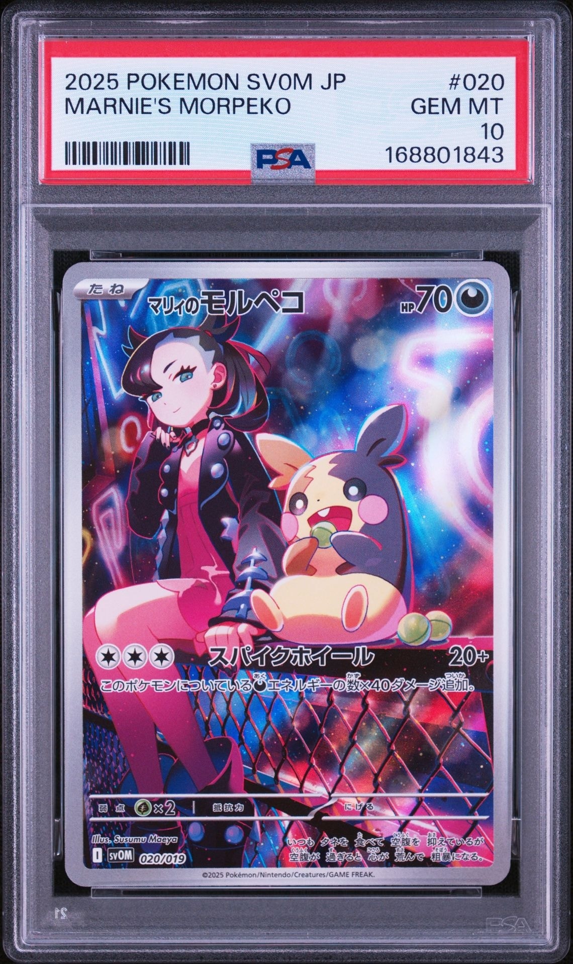 PSA10】マリィのモルペコ 020/019 PSA10】マリィのモルペコ 020/019