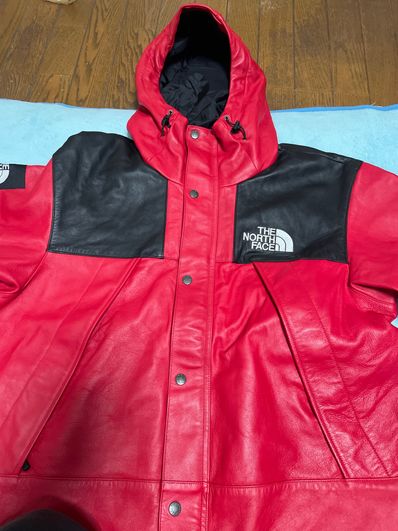 Supreme x The North Face Leather Mountain Parka "Red"