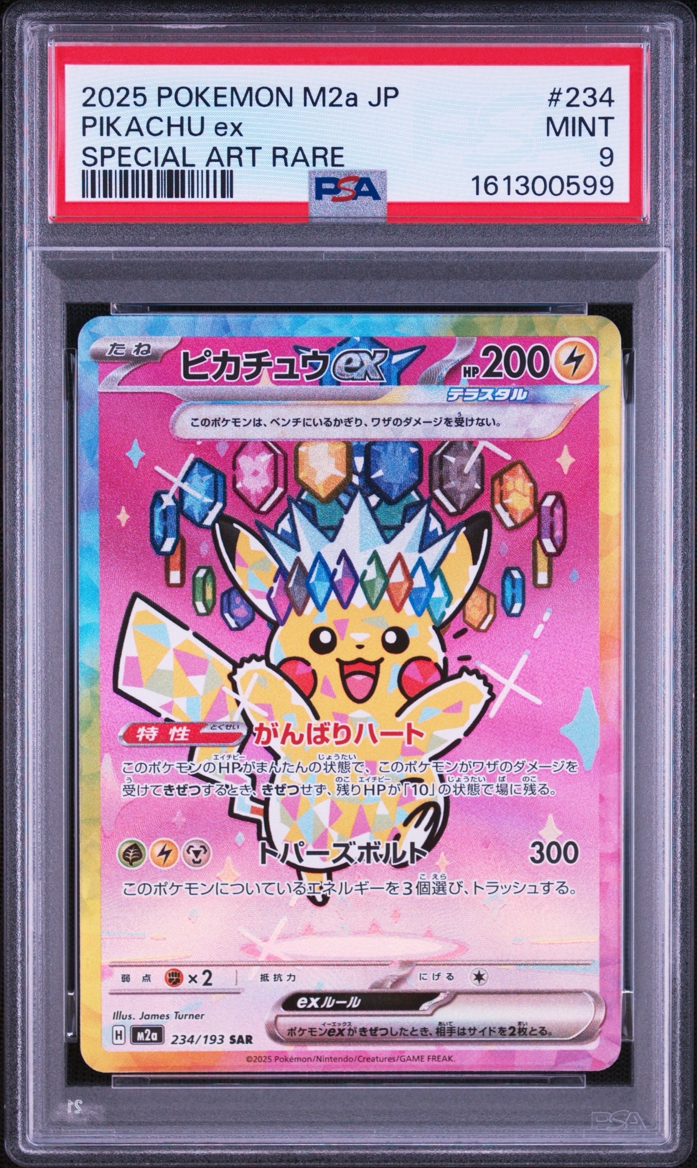 PSA10】ポッチャマ AR [M2 085/080](拡張パック「インフェルノX」) 2枚