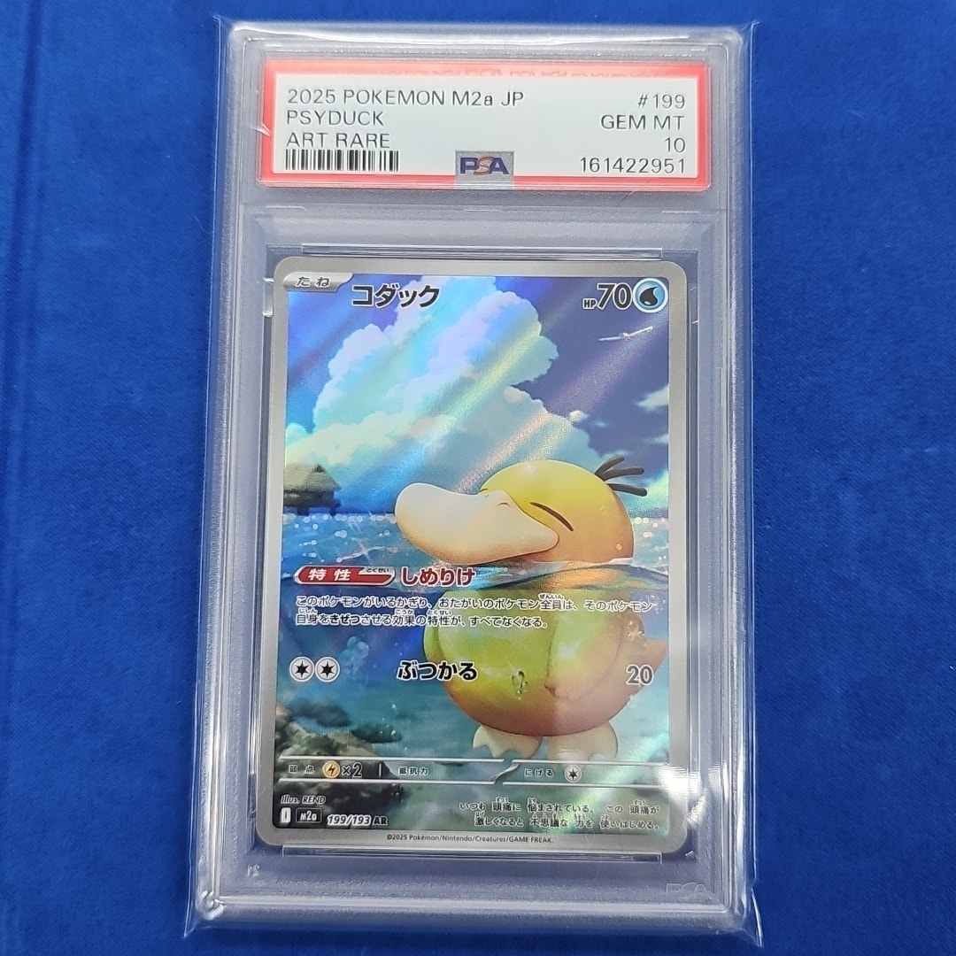 コダック AR [M2a 199/193](ハイクラスパック「MEGAドリームex」)通販