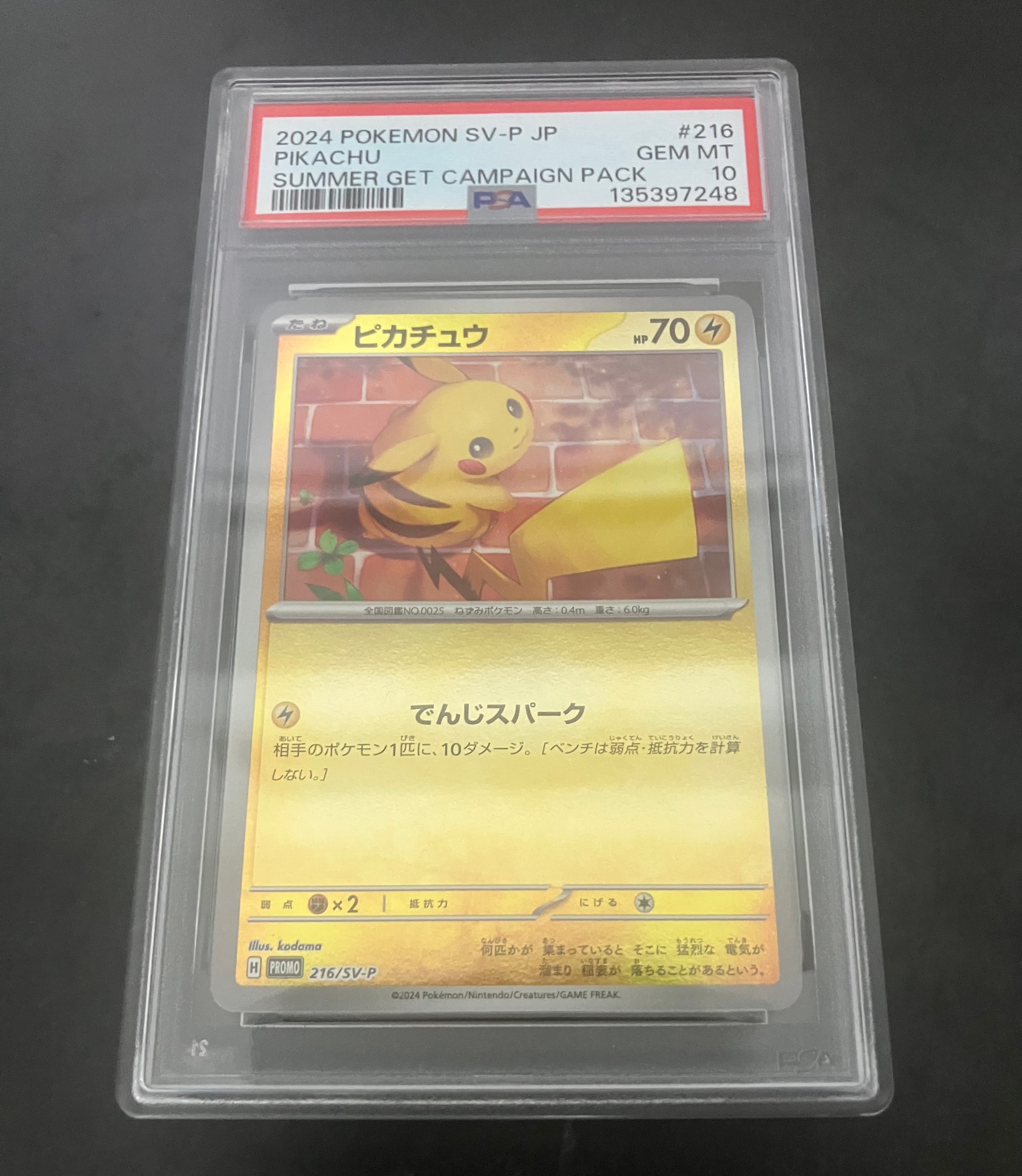 ピカチュウ P [SV-P 216](プロモカードパック「ポケカの夏がキタ!プロモカードGetキャンペーン!」)