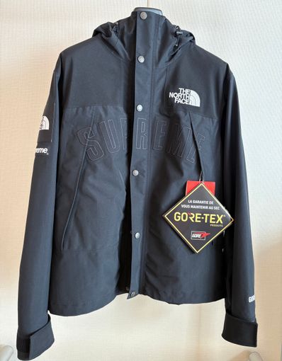 Supreme x The North Face Arc Logo Mountain Parka "Black" NP11901I / NF0A3VMM