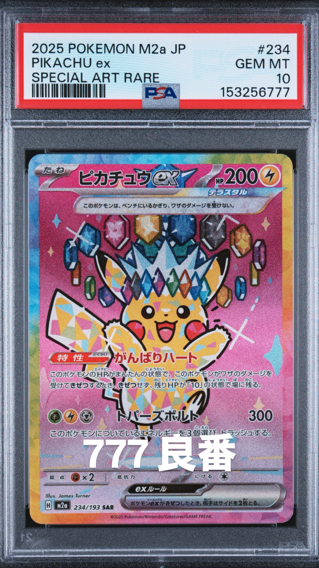 タケルライコex SAR [SV8a 222/187](ハイクラスパック「テラスタル