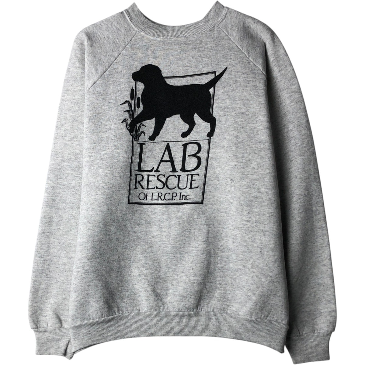 古着 ヘインズ Hanes Lab Rescue of the LRCP Inc プリントスウェットシャツ トレーナー USA製 メンズL相当/eaa629861