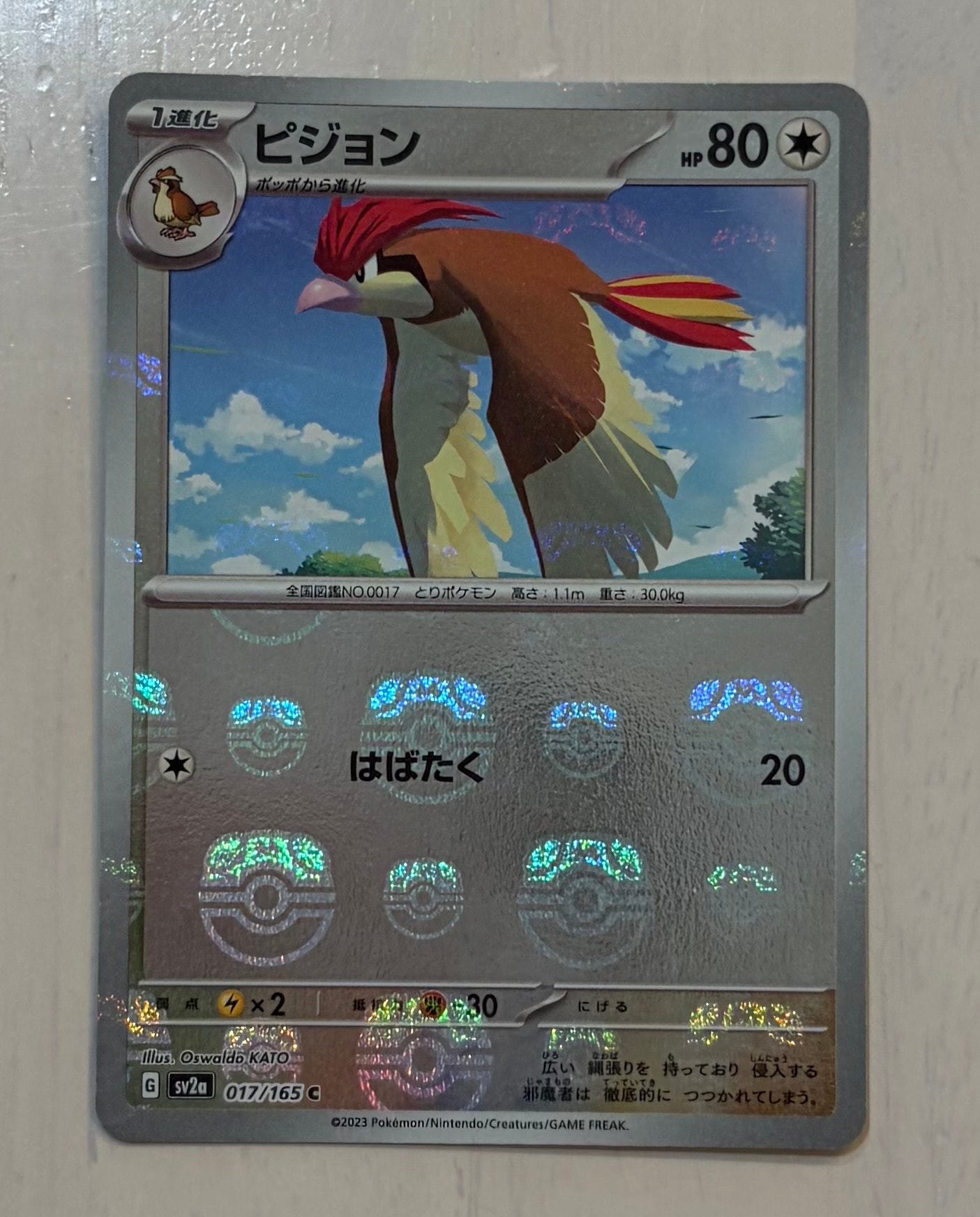 ピジョン C: マスターボールミラー[SV2a 017/165](強化拡張パック「ポケモンカード151」)