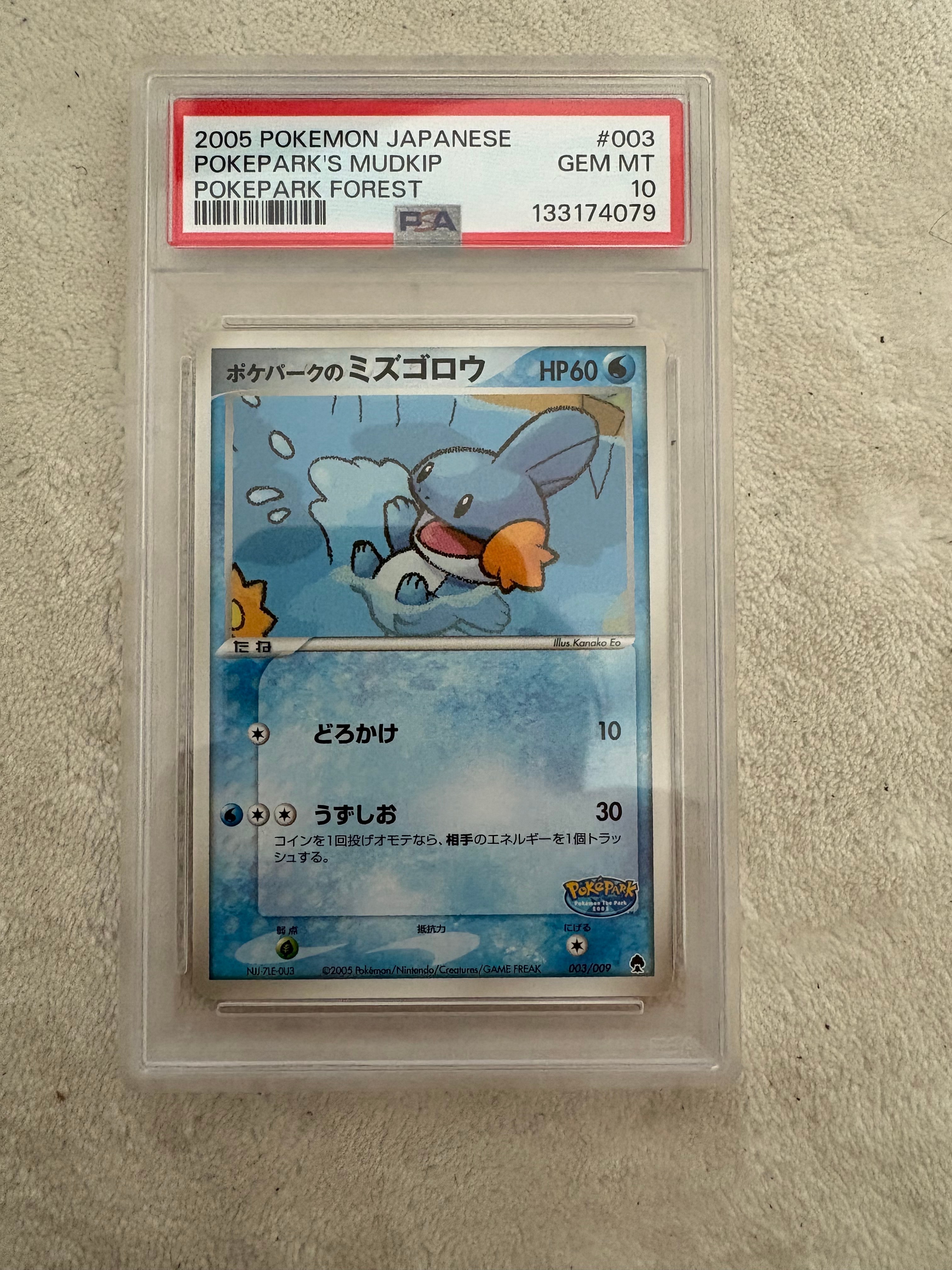 ポケパークのミズゴロウ [PCG 003/009](ポケパークプレミアムファイル