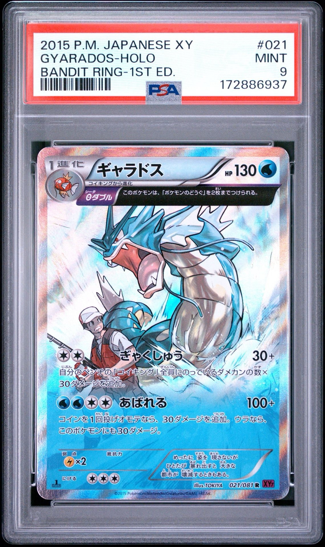 ギャラドス R :1ED [XY7 021/081](拡張パック「バンデットリング」)
