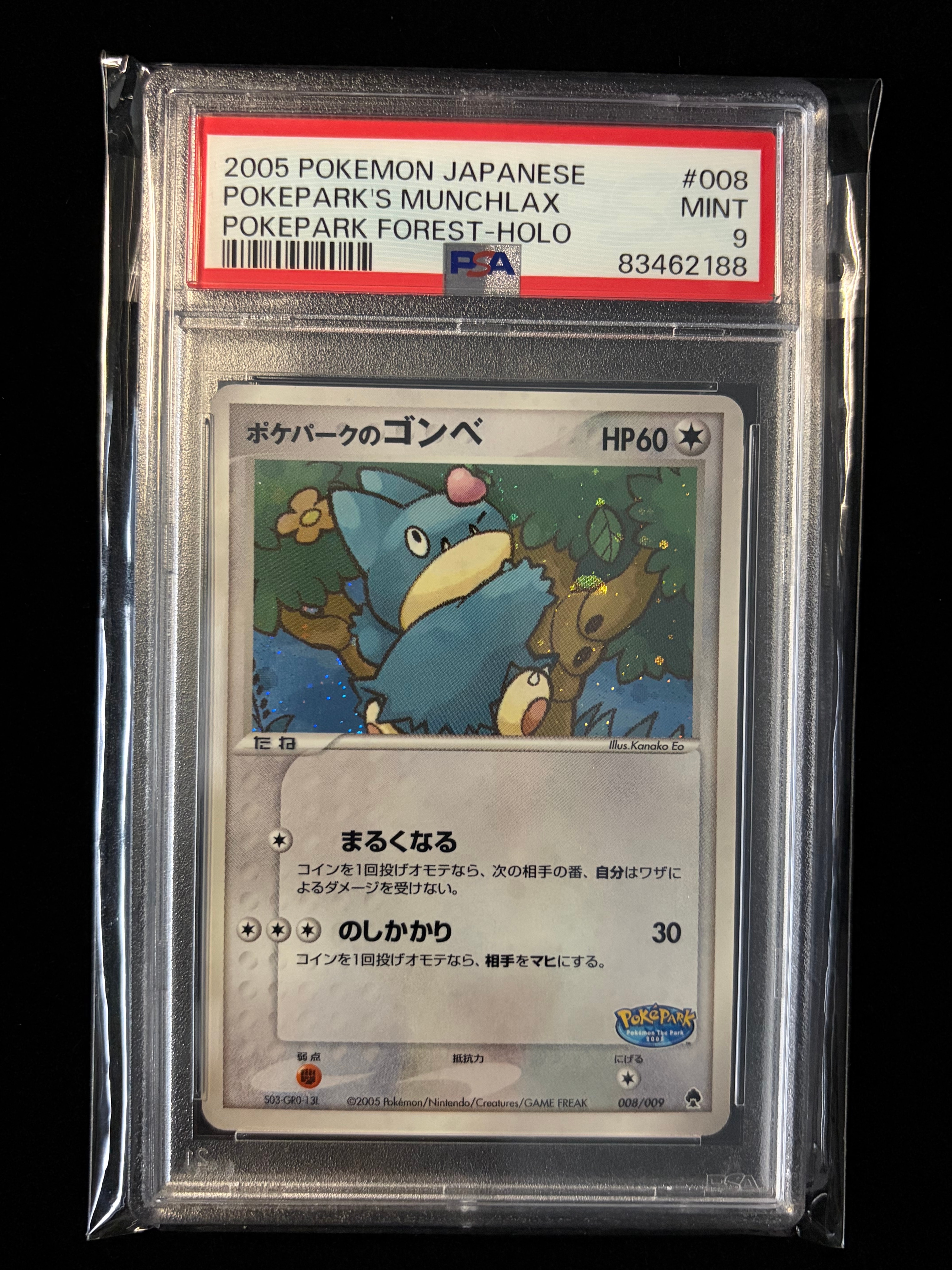 ポケパークのゴンベ [PCG 008/009](ポケパークプレミアムファイル