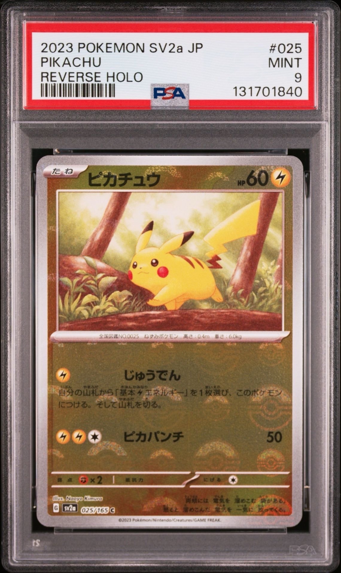 PSA10】ピカチュウ 名古屋: プロモ[DP-P 101/DP-P](プロモーション