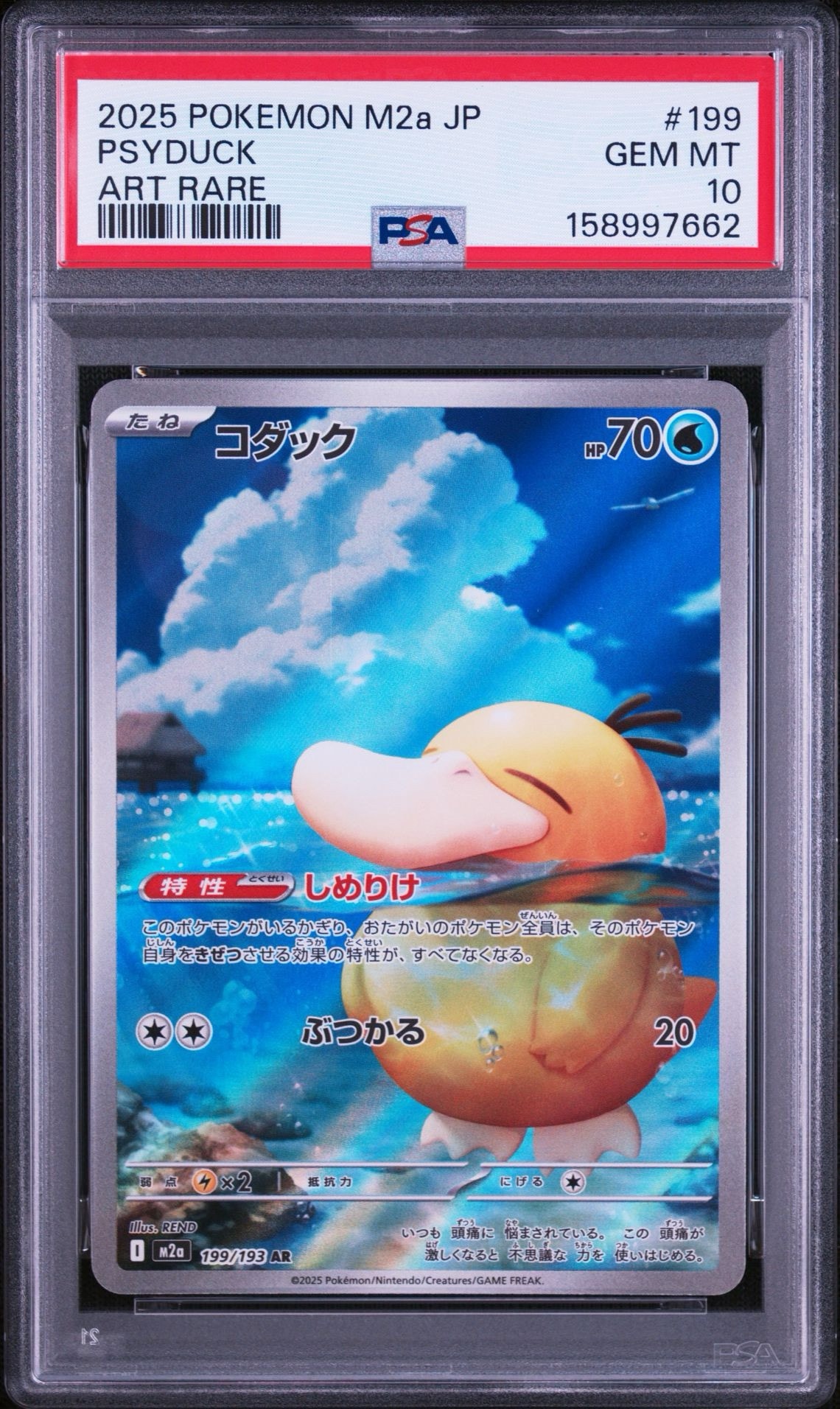 コダック AR [M2a 199/193](ハイクラスパック「MEGAドリームex」)