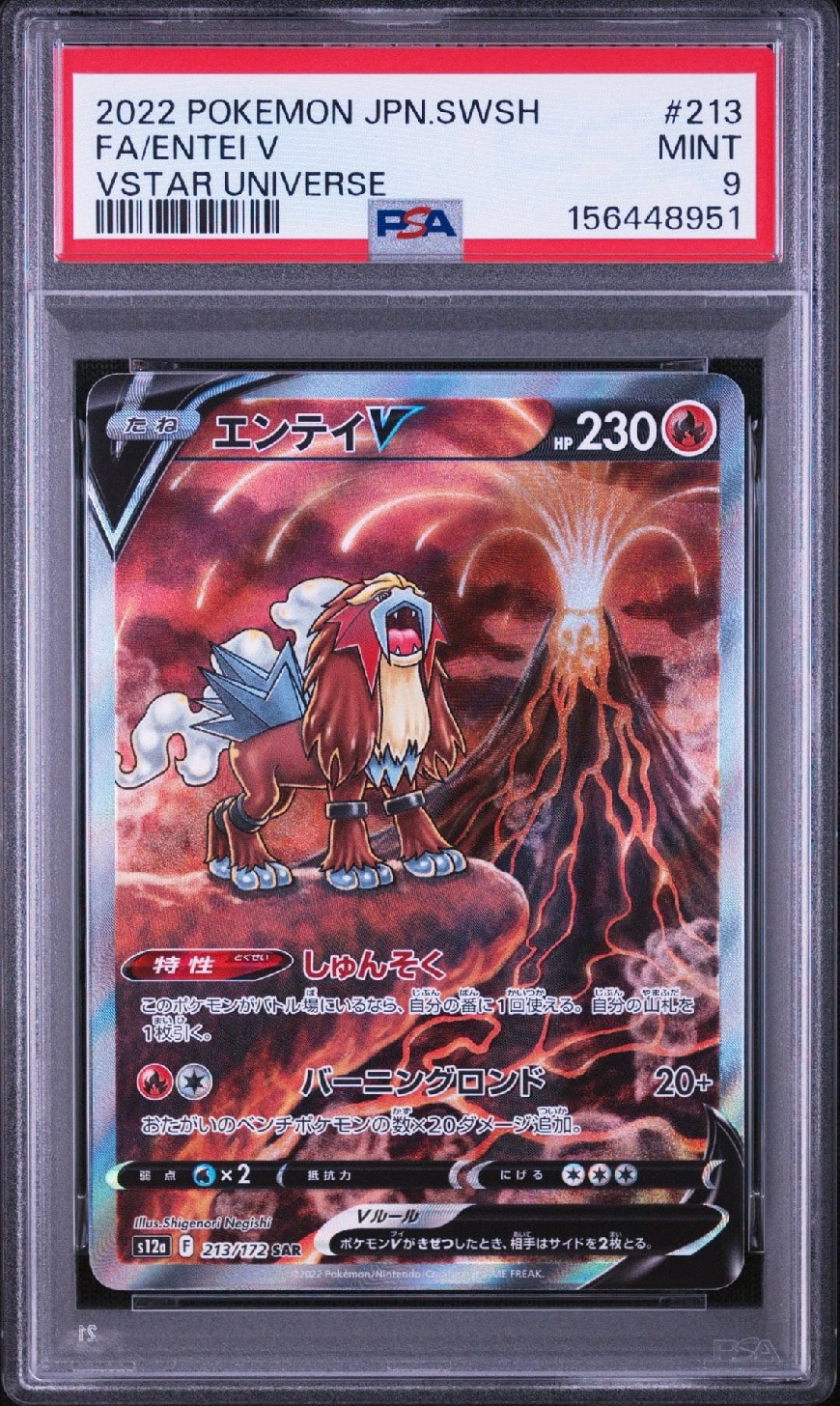 エンテイV SAR[s12a 213/172](ハイクラスパック「VSTARユニバース」)