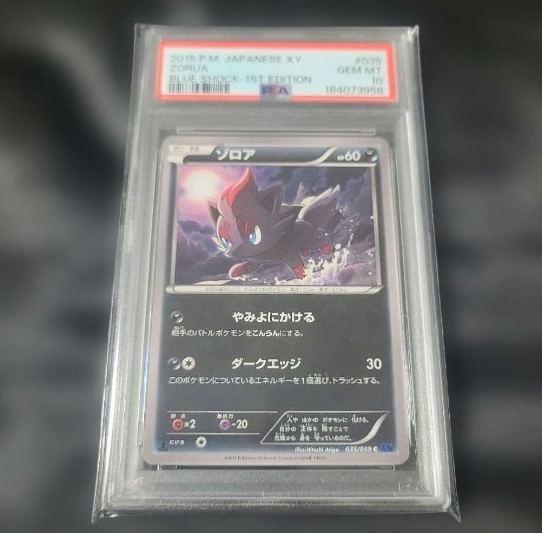 ゾロア C :1ED [XY8 035/059](拡張パック「青い衝撃」)
