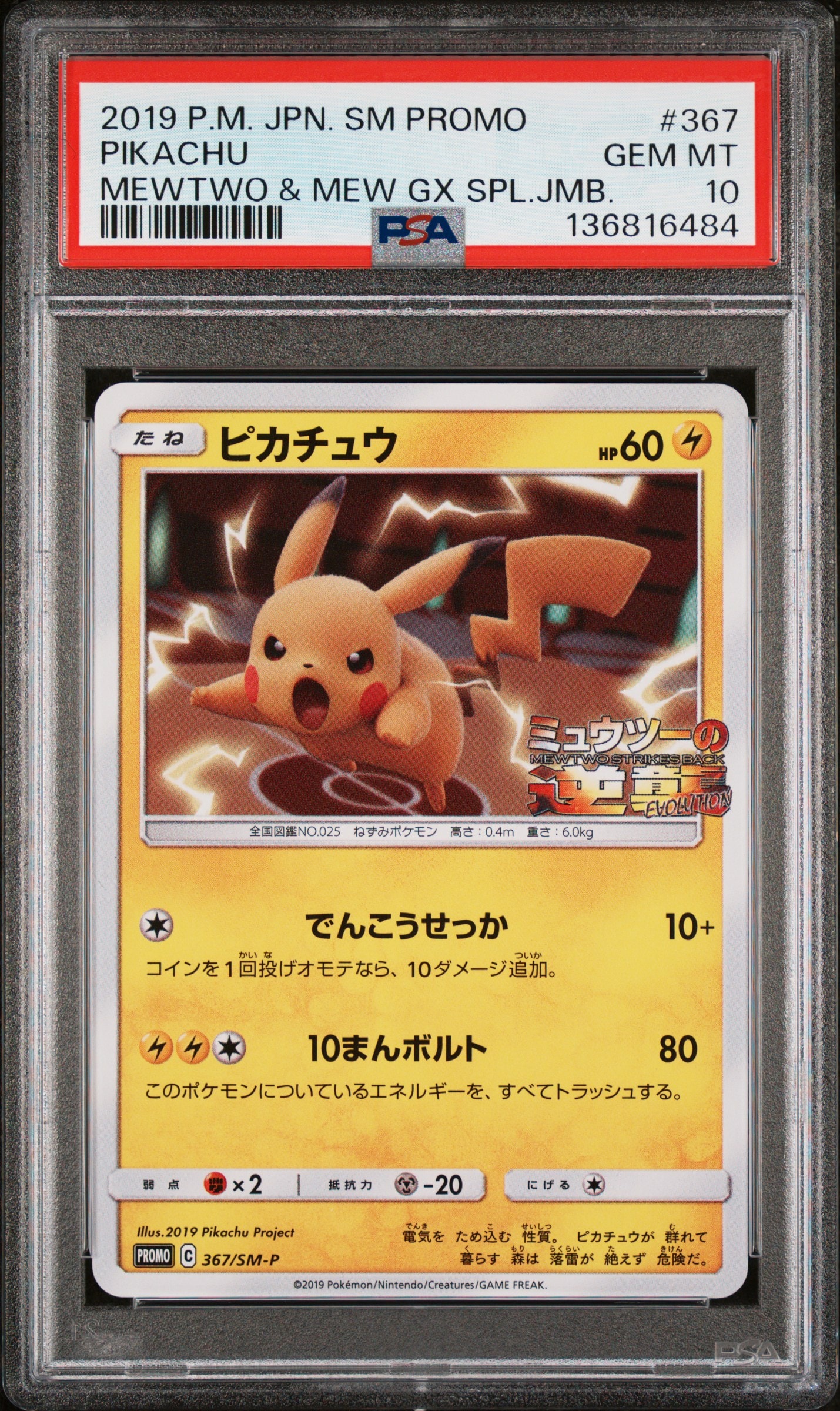 ピカチュウ P [SM-P 367](プロモーションカード「スペシャルジャンボカードパック ミュウツー&ミュウGX」)