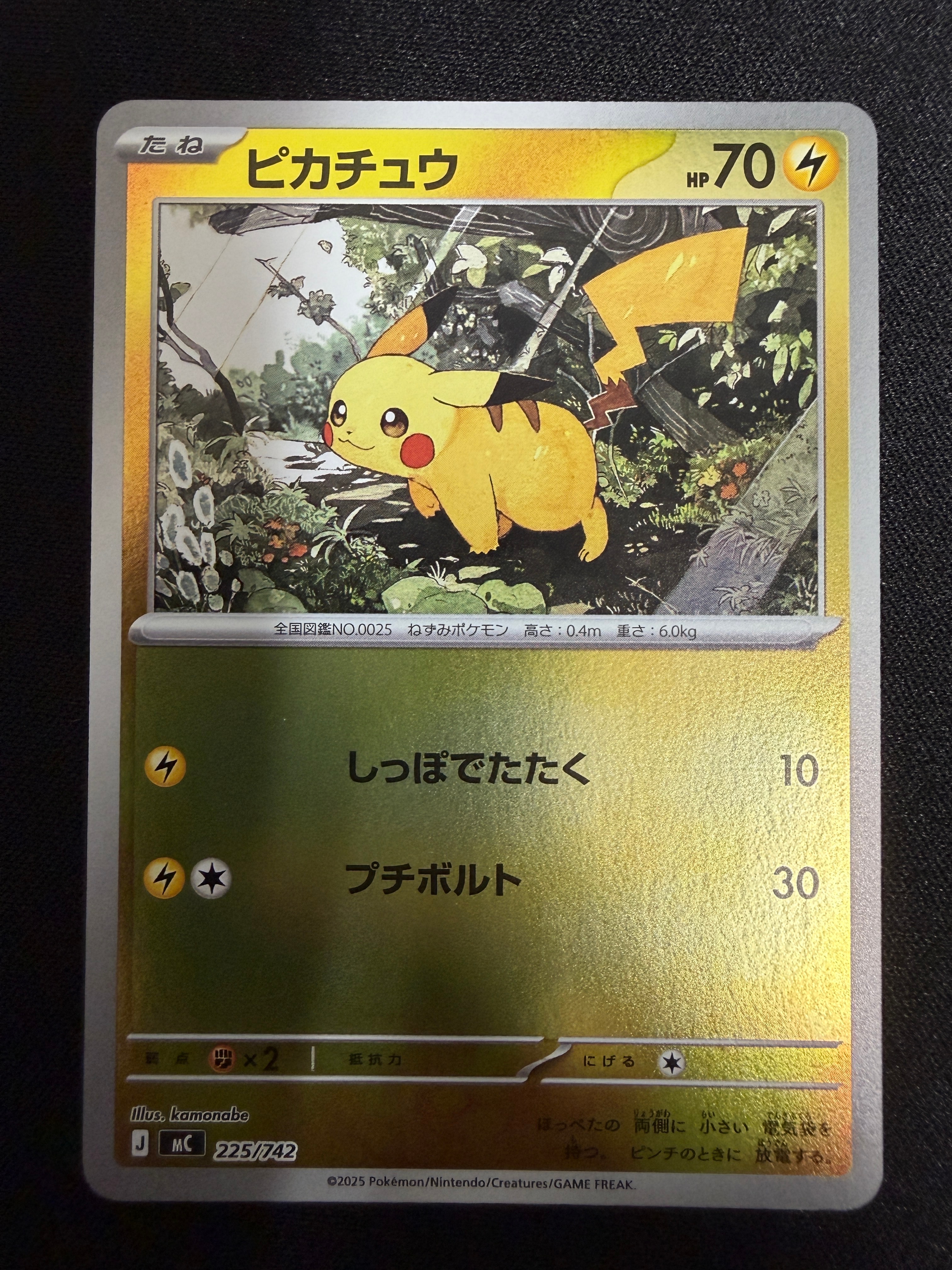 PSA10】ピカチュウ [SNP-R 001/010](BREAK進化パック「ライチュウBREAK
