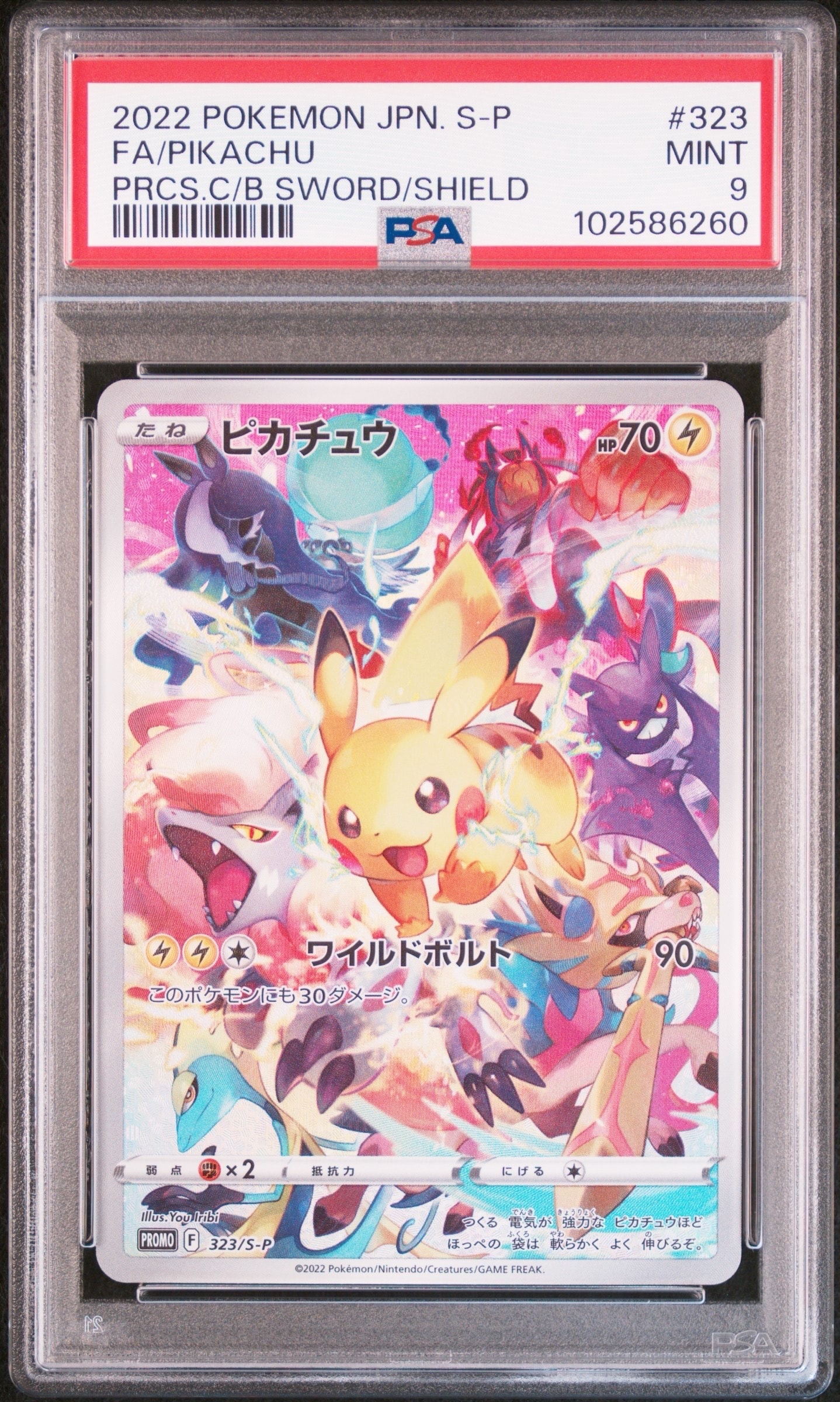 ピカチュウ [SV-P 242](プロモカードパック「イラストレーション