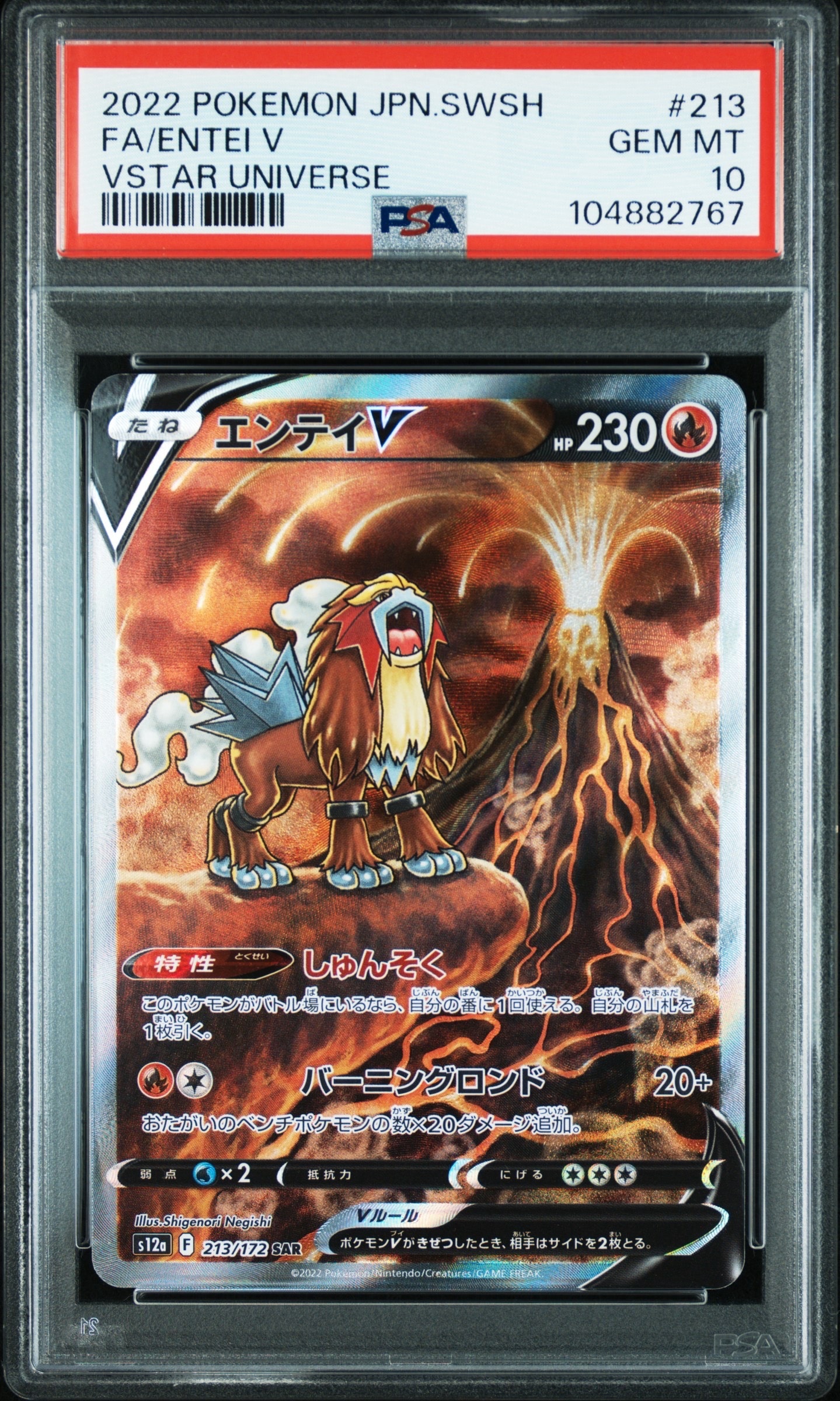 エンテイV SAR[s12a 213/172](ハイクラスパック「VSTARユニバース」)