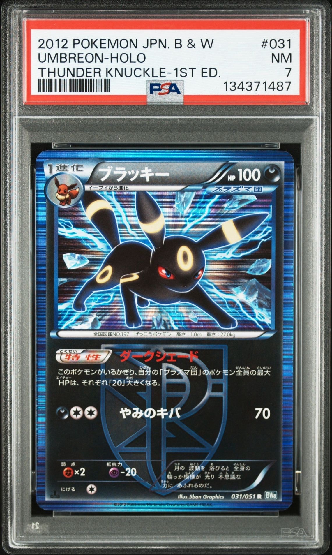 ブラッキー R :1ED [BW8 031/051](拡張パック「ライデンナックル」)