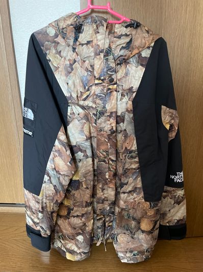 Supreme x The North Face Leaves Mountain Light Jacket "Leaves"