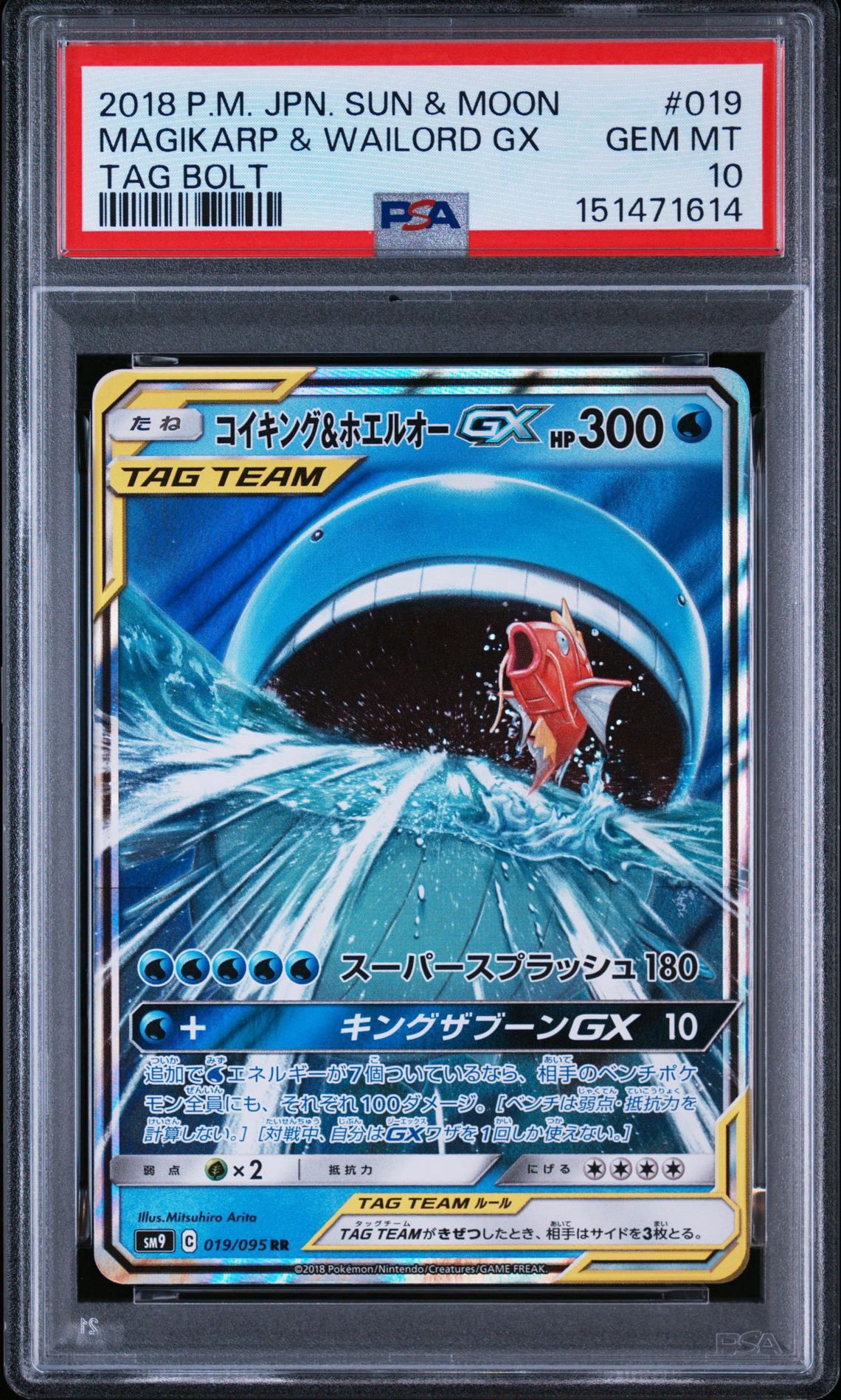 コイキング&ホエルオーGX RR [SM9 019/095](拡張パック「タッグボルト