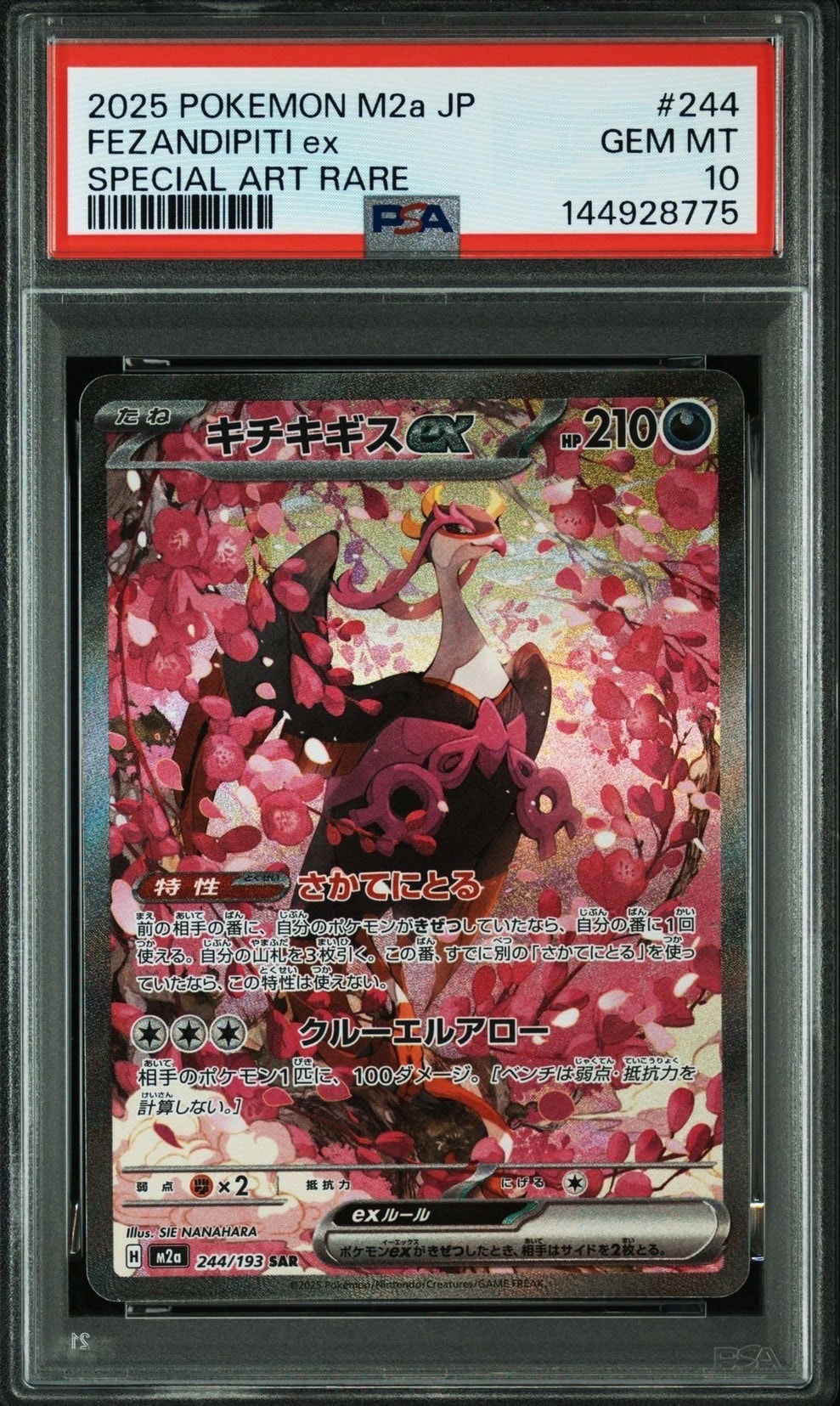 キチキギスex PSA10 中古】 PSA10 キチキギスex SAR M2a-244 : おたいちヤフー店 - 通販