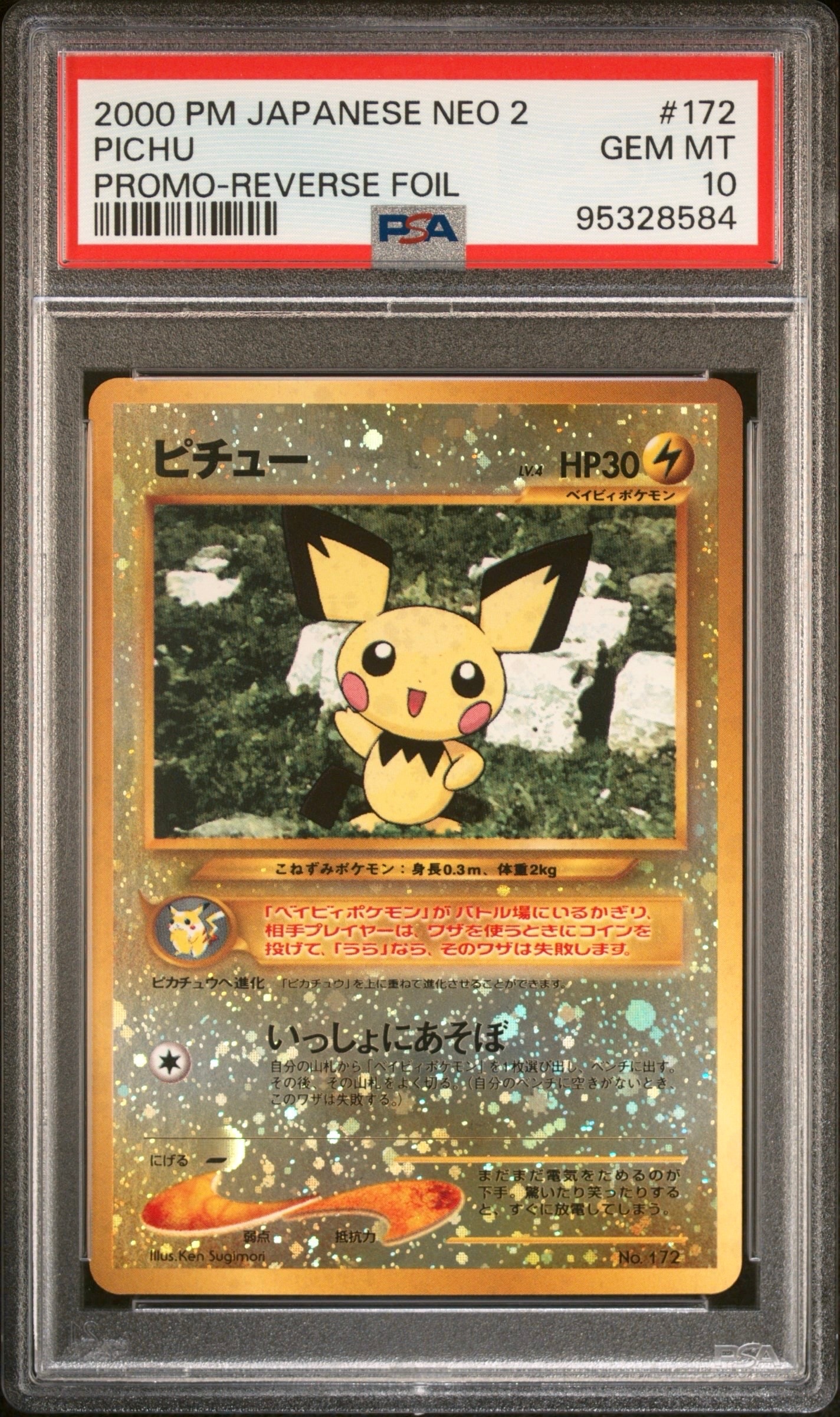 ピチュープレミアムファイル2: 旧裏[neoP2 No.172](プレミアムファイル2)