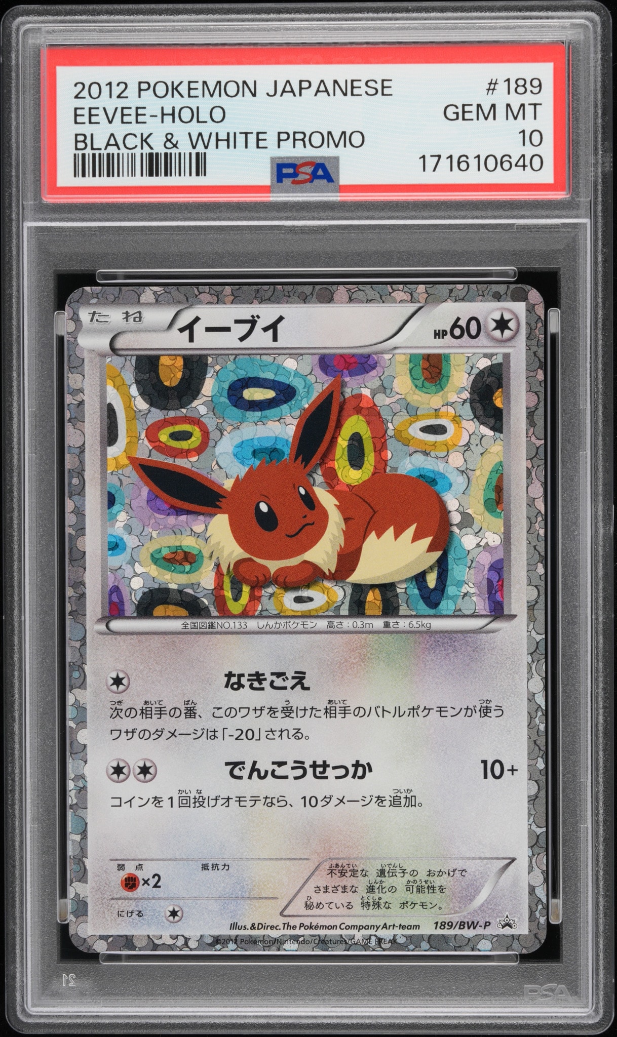 Eevee P [BW-P 189/BW-P](Promotional Cards "Collection File Eevee Collection Special Card")