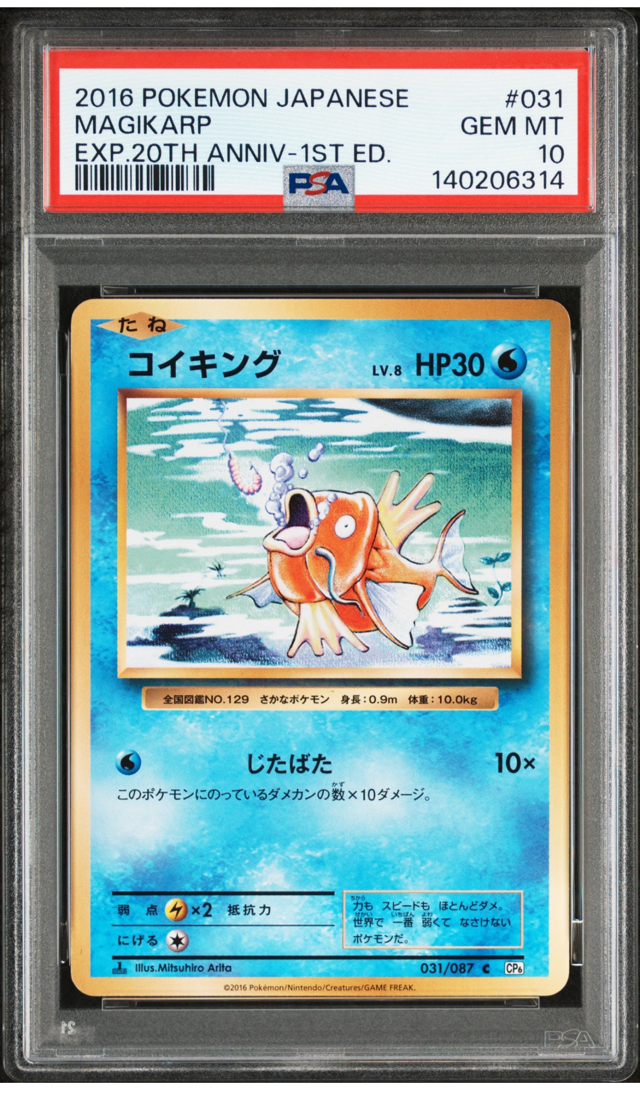 コイキング C :1ED [CP6 031/087](コンセプトパック「ポケットモンスターカードゲーム 拡張パック 20th Anniversary」)