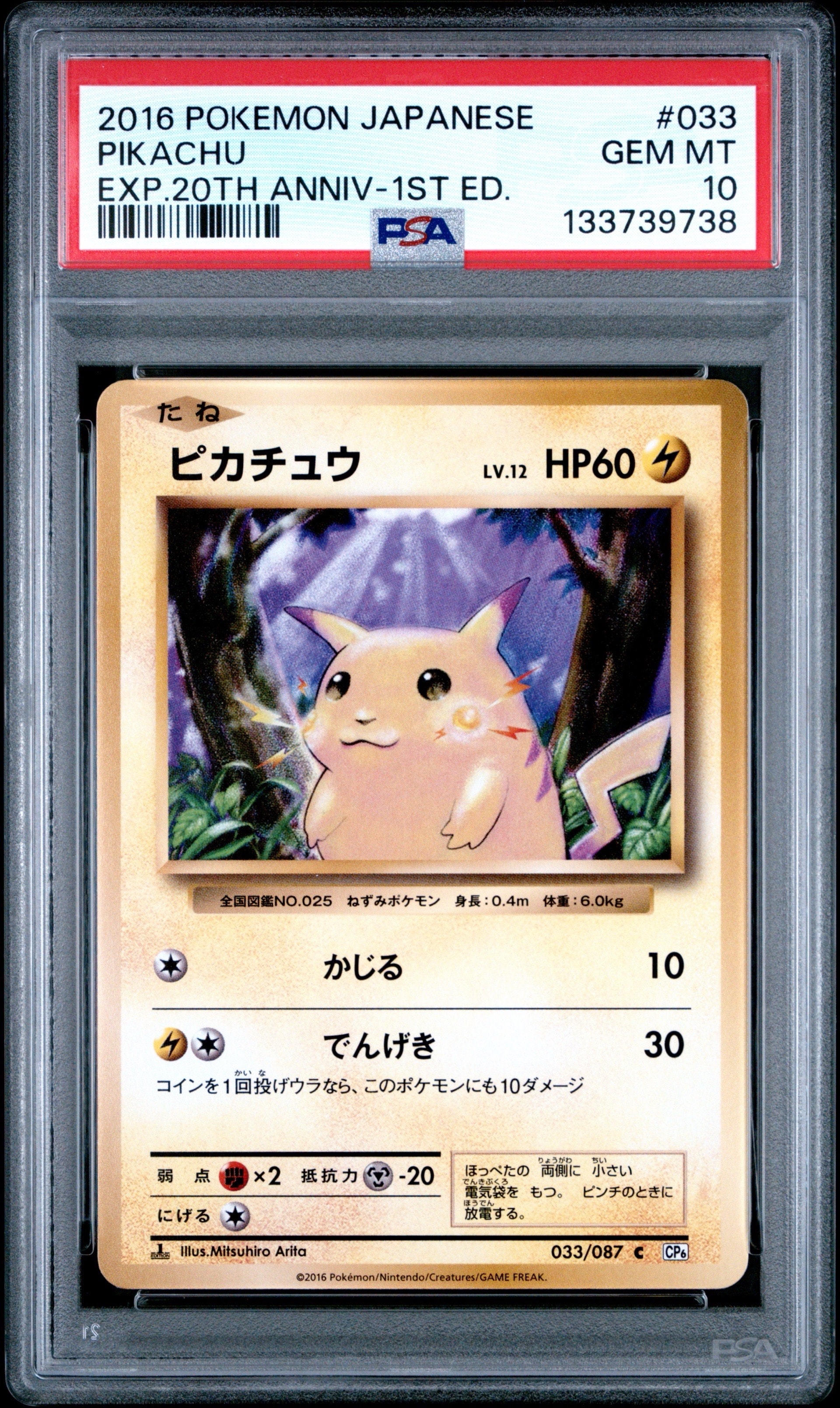ピカチュウ C :1ED [CP6 033/087](コンセプトパック「ポケットモンスターカードゲーム 拡張パック 20th Anniversary」)