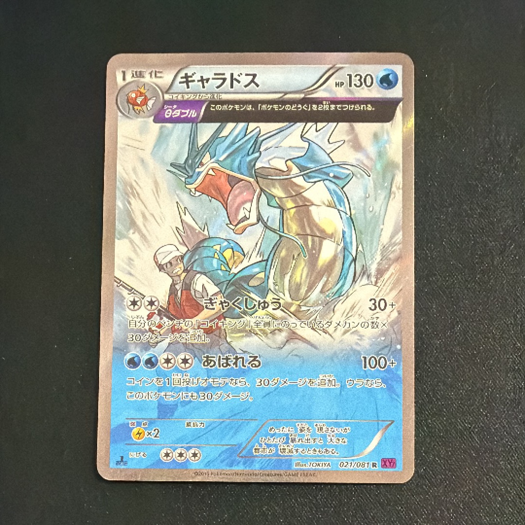 ギャラドス R :1ED [XY7 021/081](拡張パック「バンデットリング」)