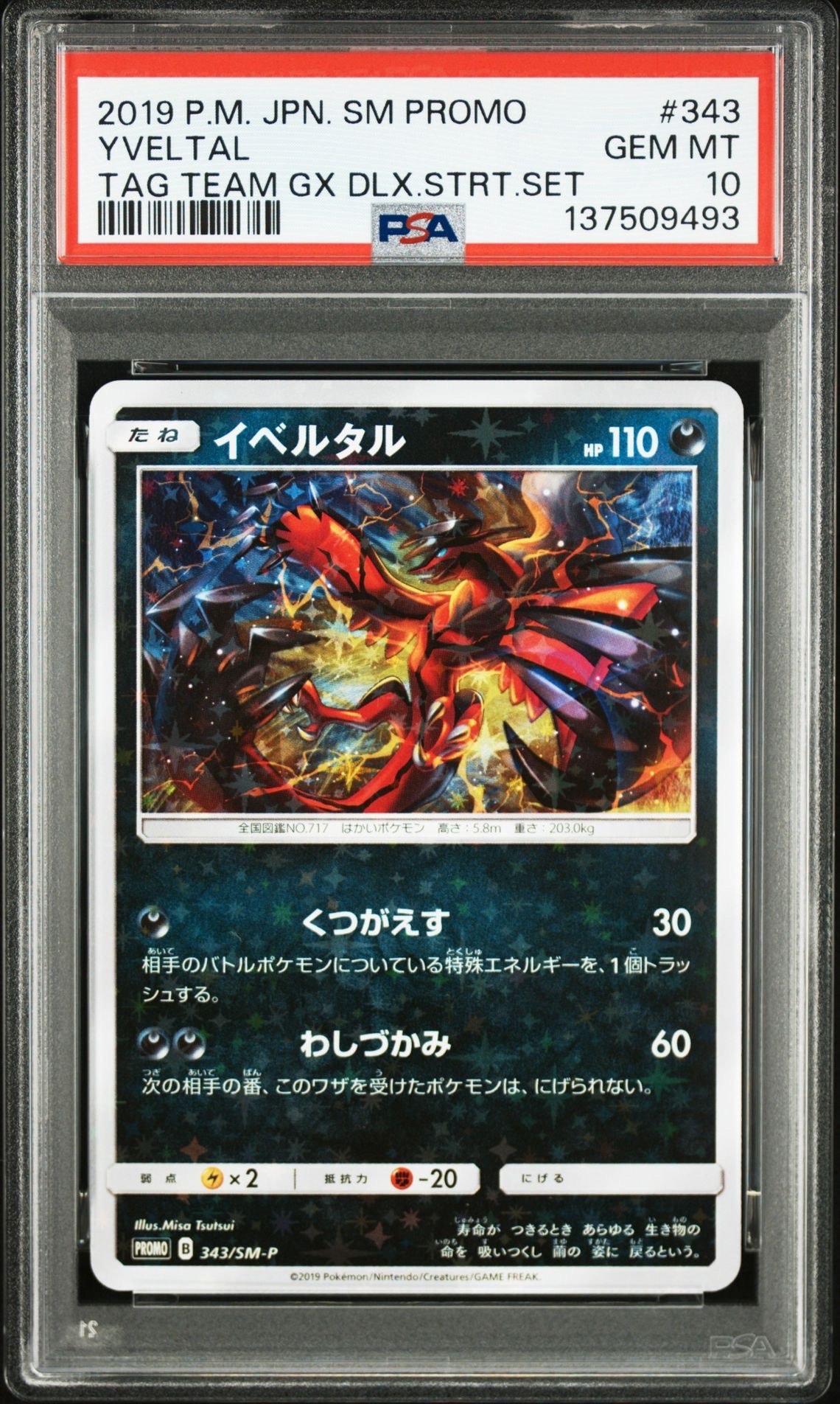 PSA10】イベルタル P [SM-P 343](プロモーションカード「TAG TEAM GX