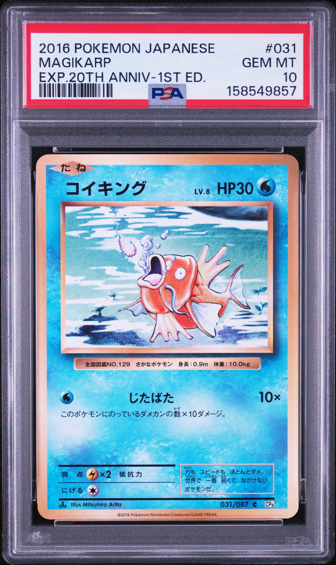 コイキング C :1ED [CP6 031/087](コンセプトパック「ポケットモンスターカードゲーム 拡張パック 20th Anniversary」)
