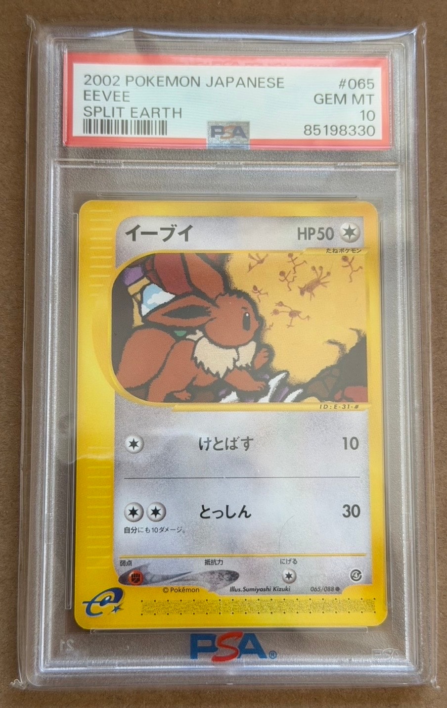 イーブイ ○ [e4 065/088](拡張パック第4弾「裂けた大地」)の新品/中古