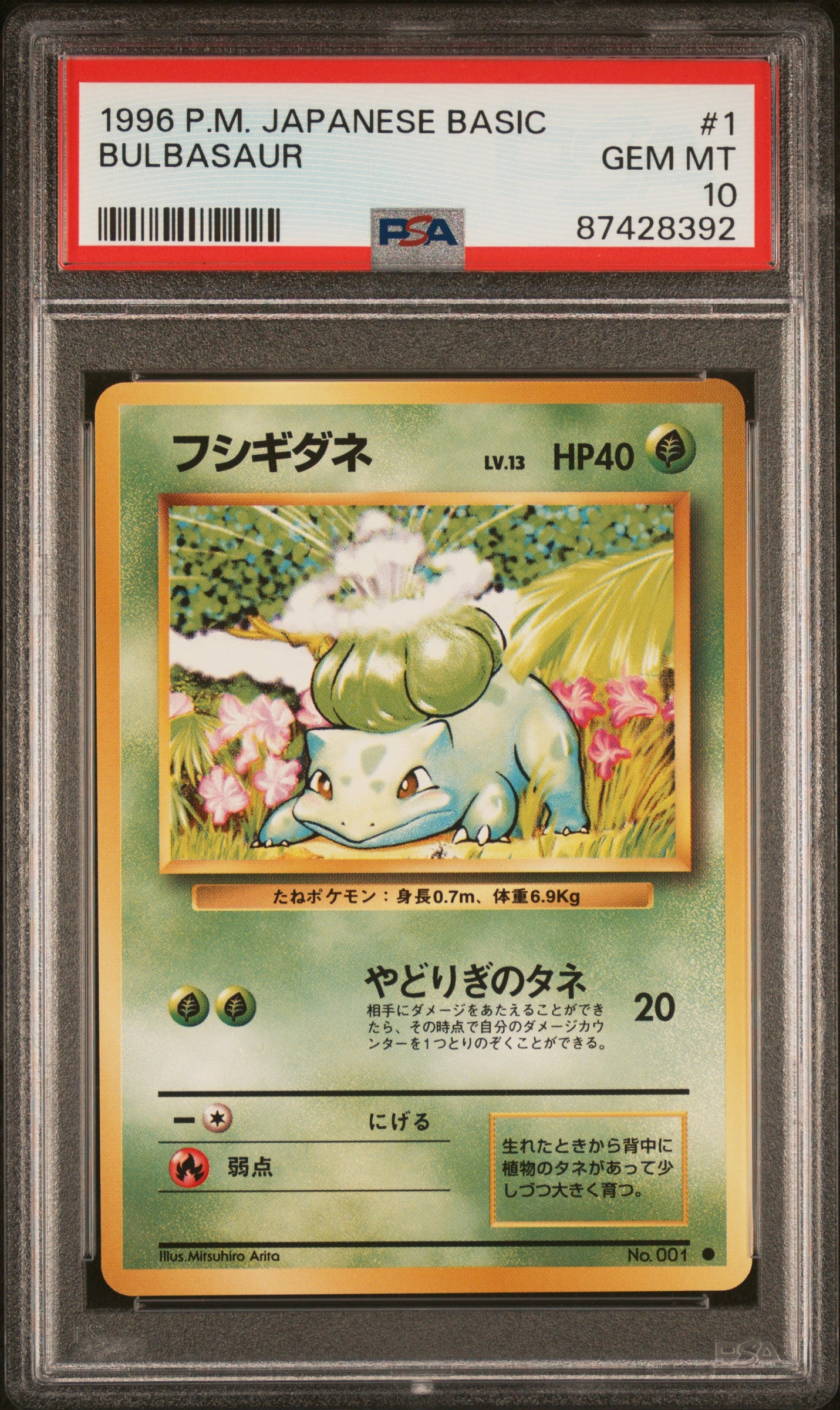 フシギダネ ● : 旧裏 [PMCG1-2](拡張パック「ポケットモンスター カードゲーム」再販)