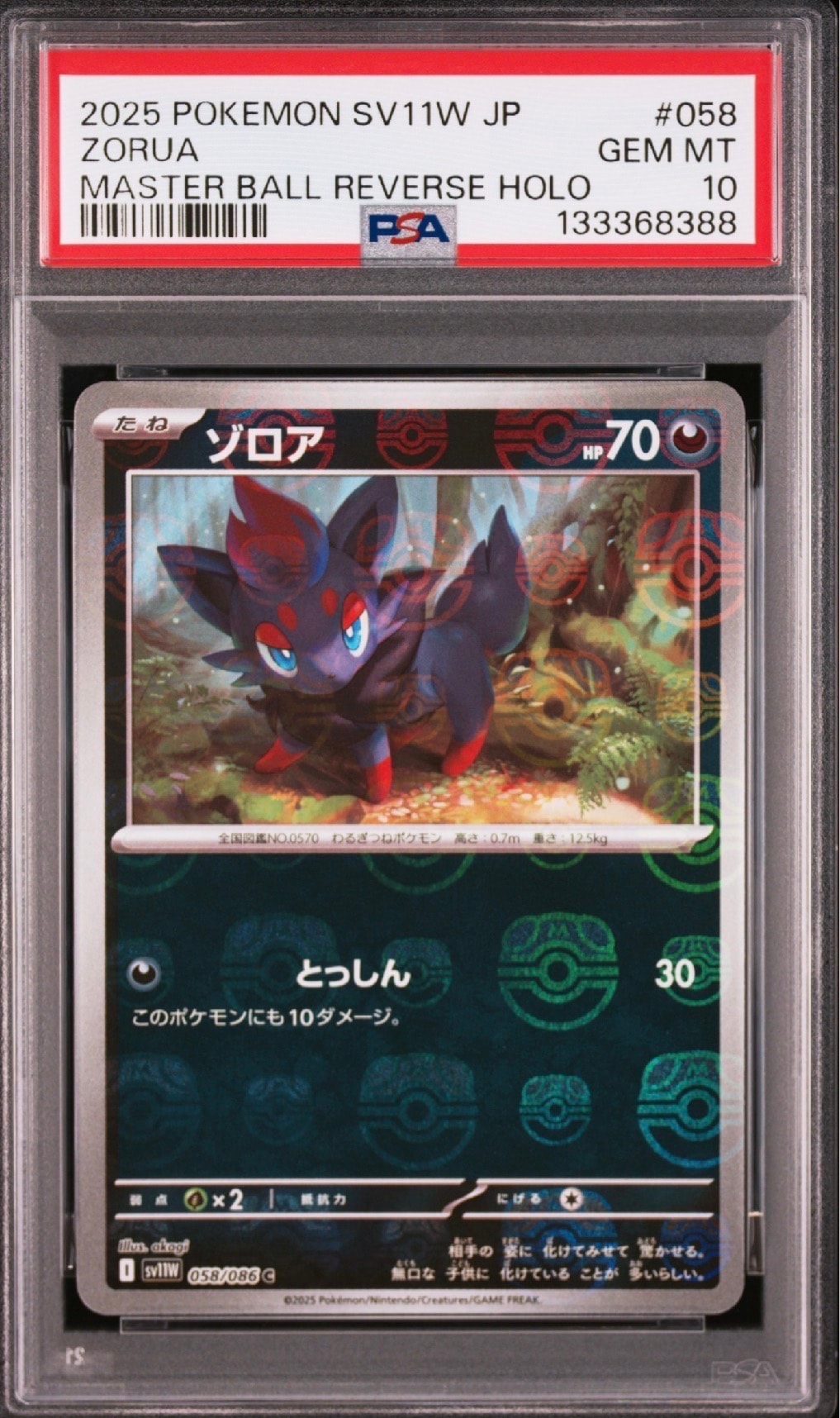 ゾロア C :マスターボールミラー [SV11W 058/086](拡張パック「ホワイトフレア」)