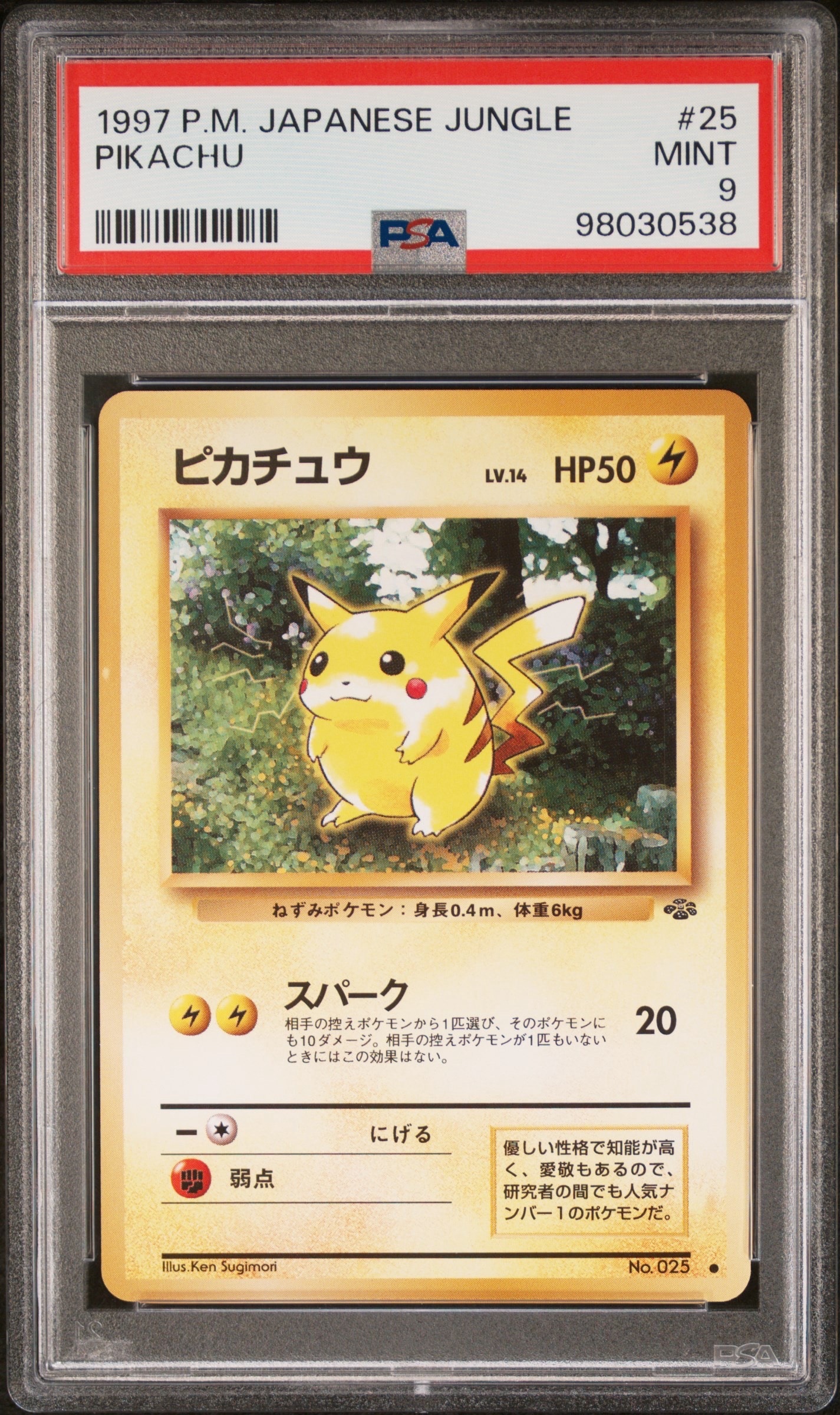 ピカチュウ ● : 旧裏 [PMCG2 No.025](拡張パック「ポケモンジャングル」)