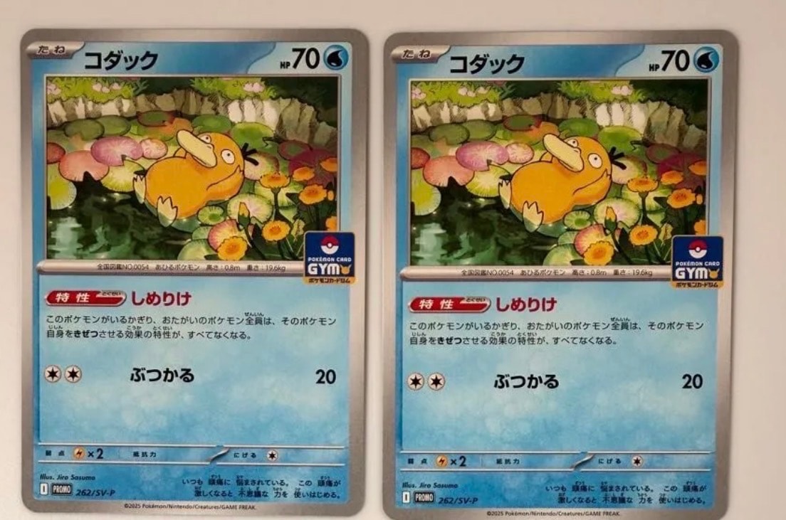 コダック P [SV-P 262](プロモカードパック「第10弾」)の新品/中古