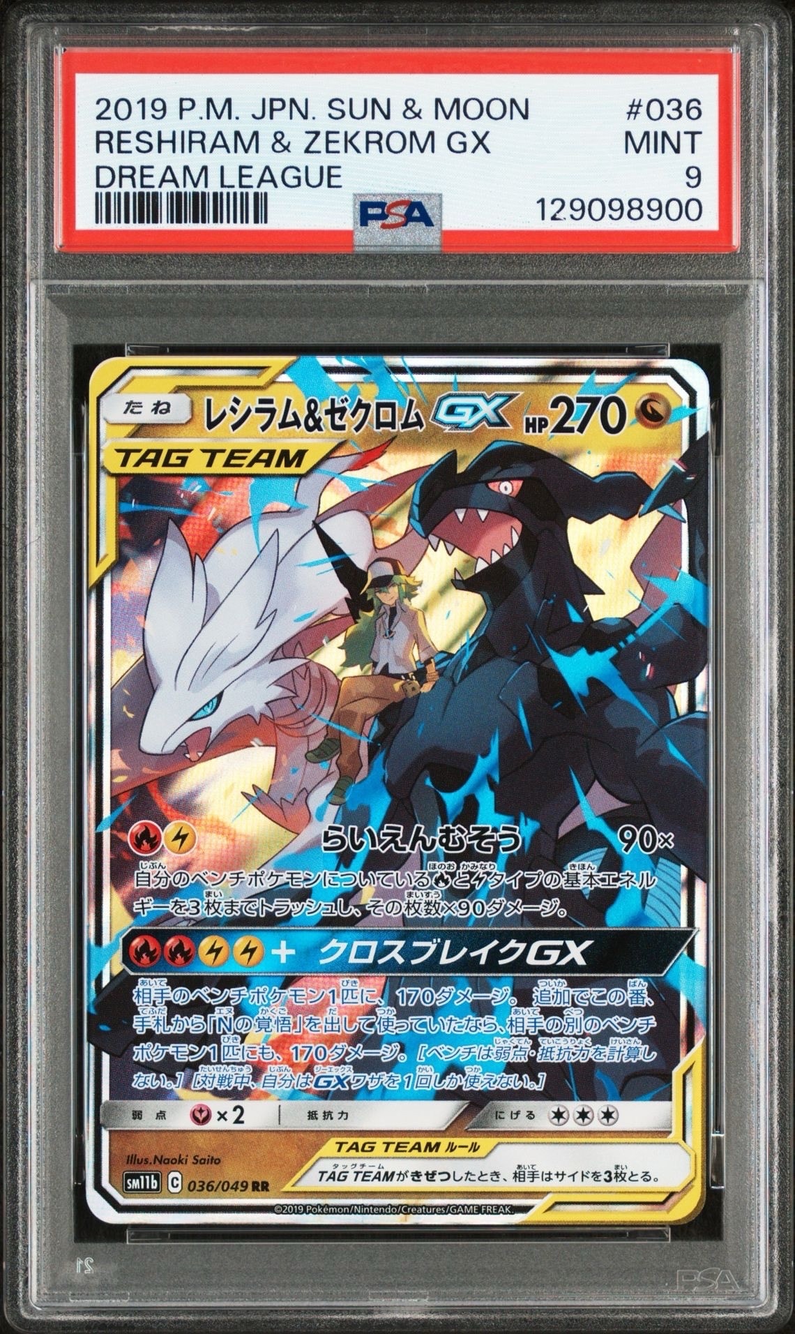 レシラム&ゼクロムGX (N) RR[SM11b 036/049](強化拡張パック「ドリームリーグ」)
