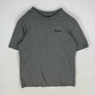 古着 パタゴニア patagonia 半袖Tシャツ アウトドア クルーネック ショートスリーブ M グレー系 プリント メンズ