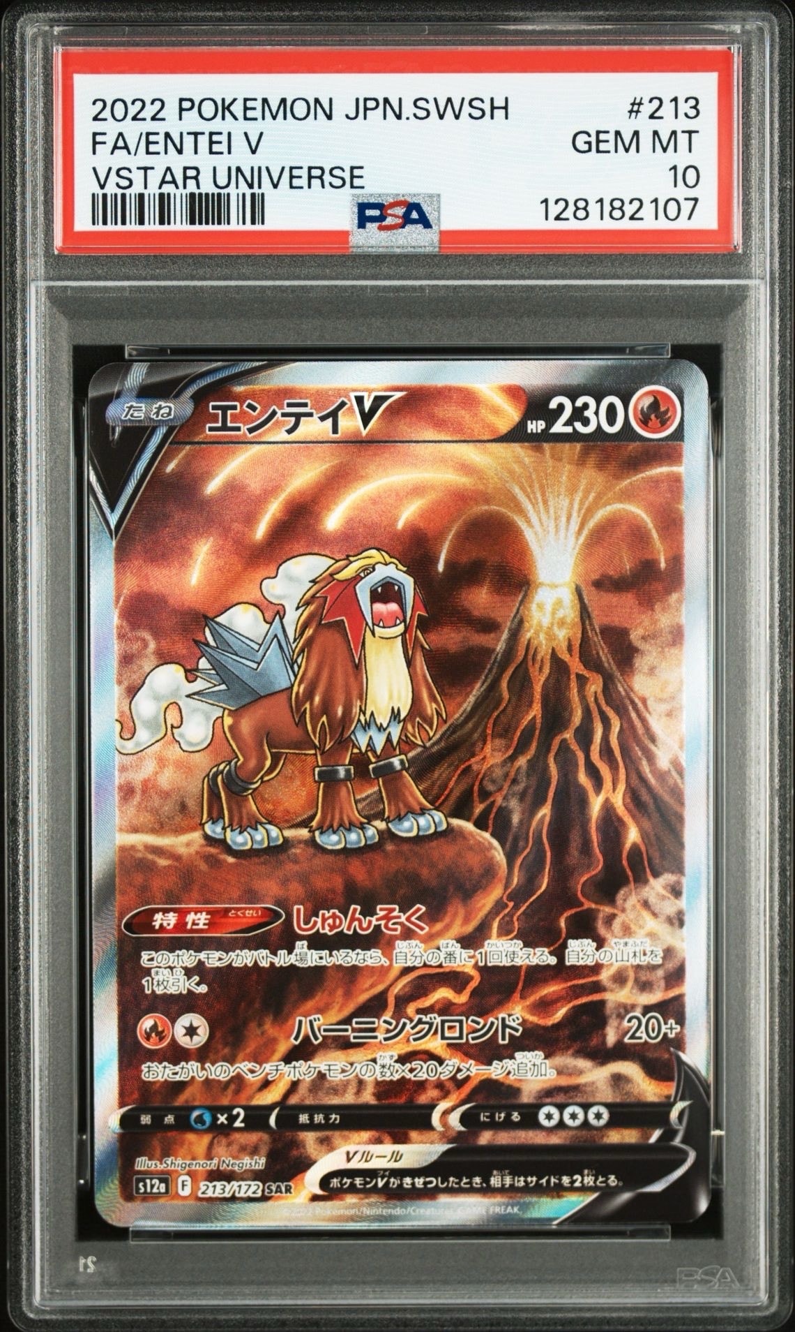 エンテイV SAR[s12a 213/172](ハイクラスパック「VSTARユニバース」)