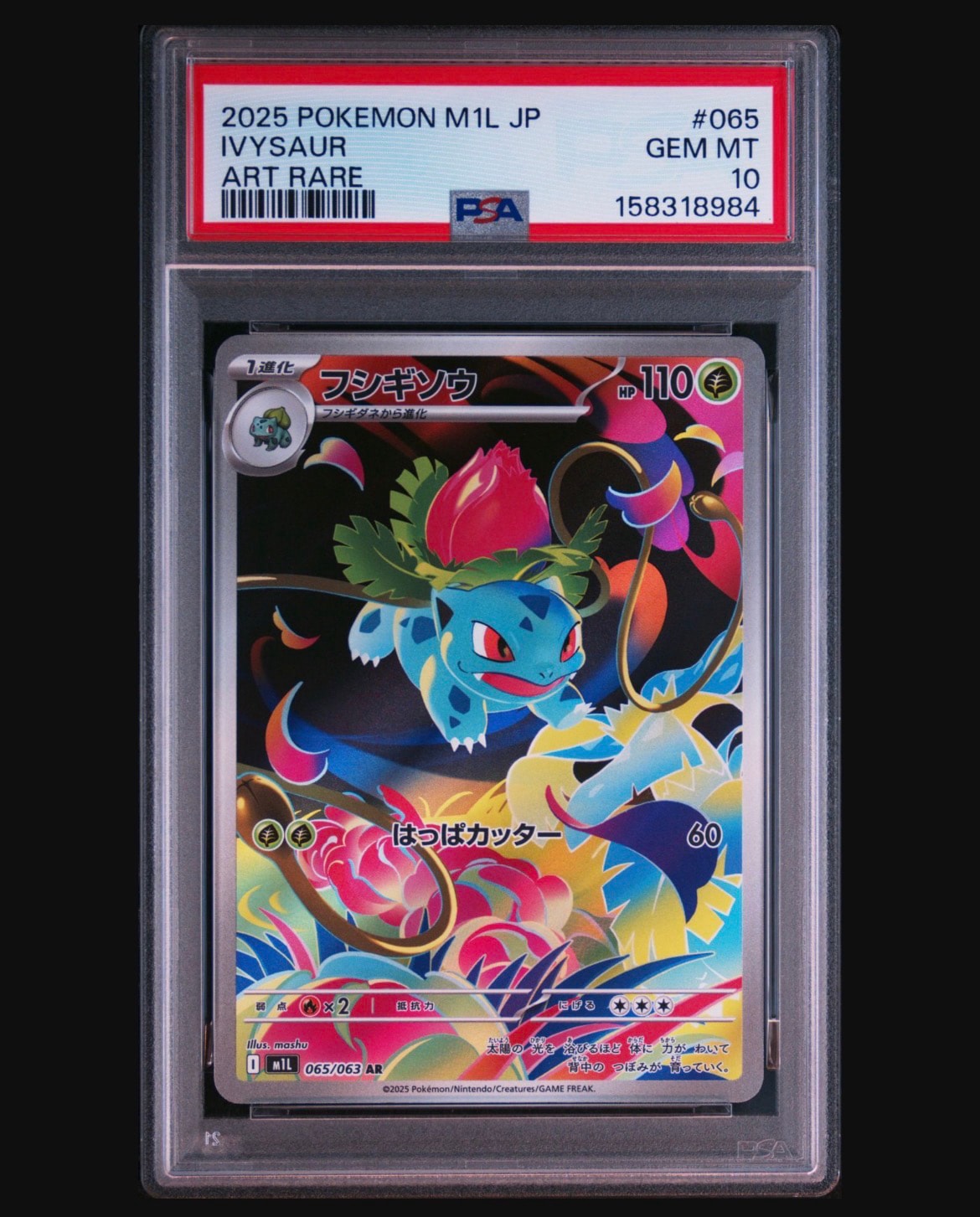 PSA10】フシギソウ AR [M1L 065/063](拡張パック「メガブレイブ」) 1枚