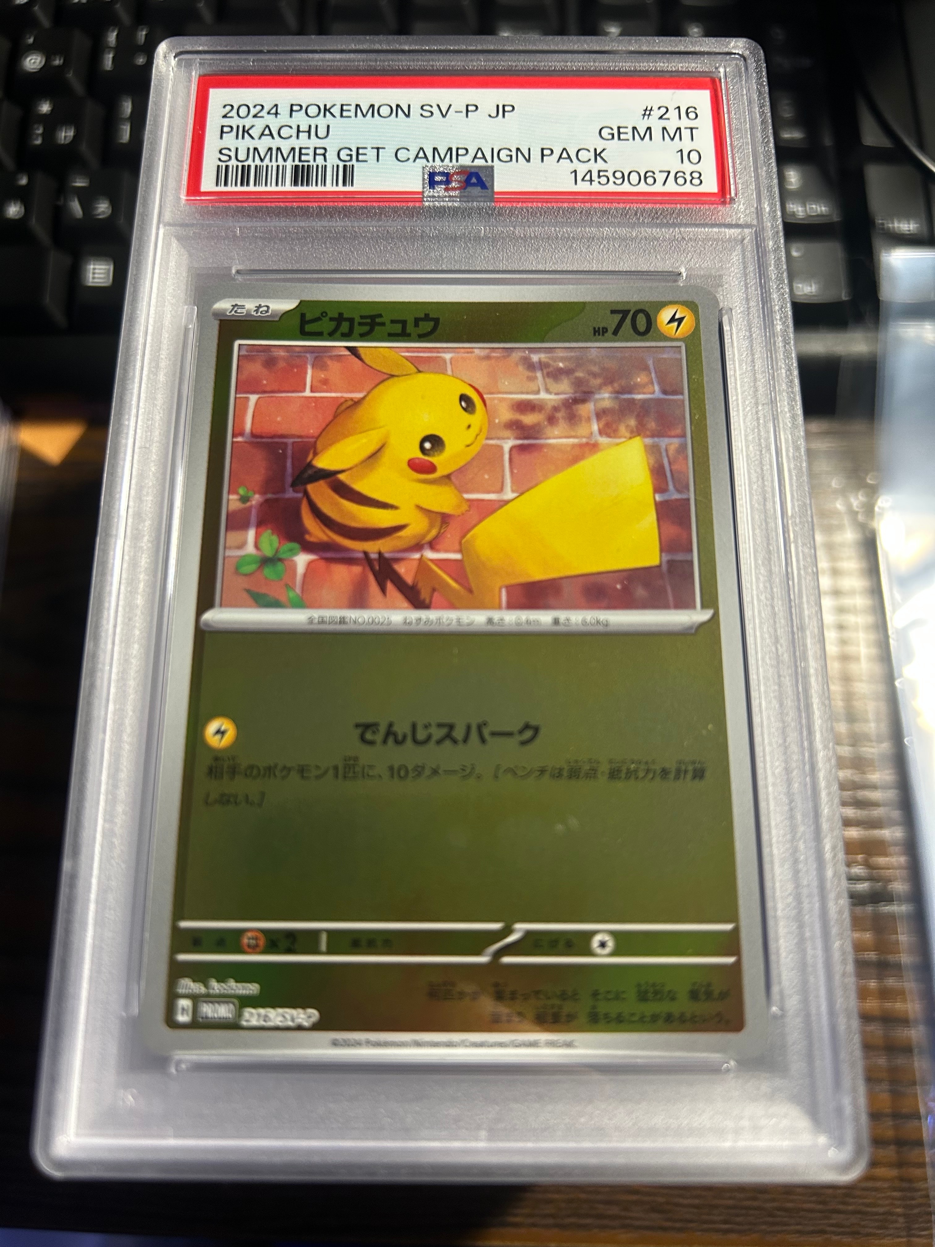 ピカチュウ P [SV-P 216](プロモカードパック「ポケカの夏がキタ!プロモカードGetキャンペーン!」)