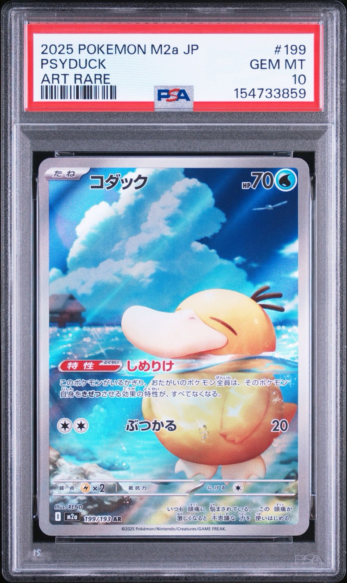 コダック AR [M2a 199/193](ハイクラスパック「MEGAドリームex」)