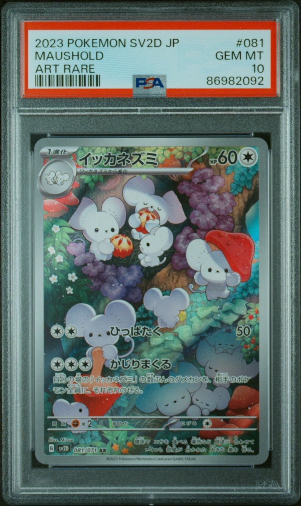 Maushold AR[SV2D 081/071](Expansion Pack "Clay burst")