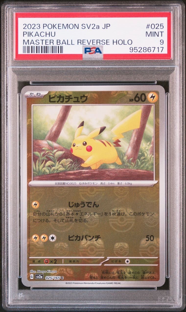 マスボピカチュウ 【公式通販】