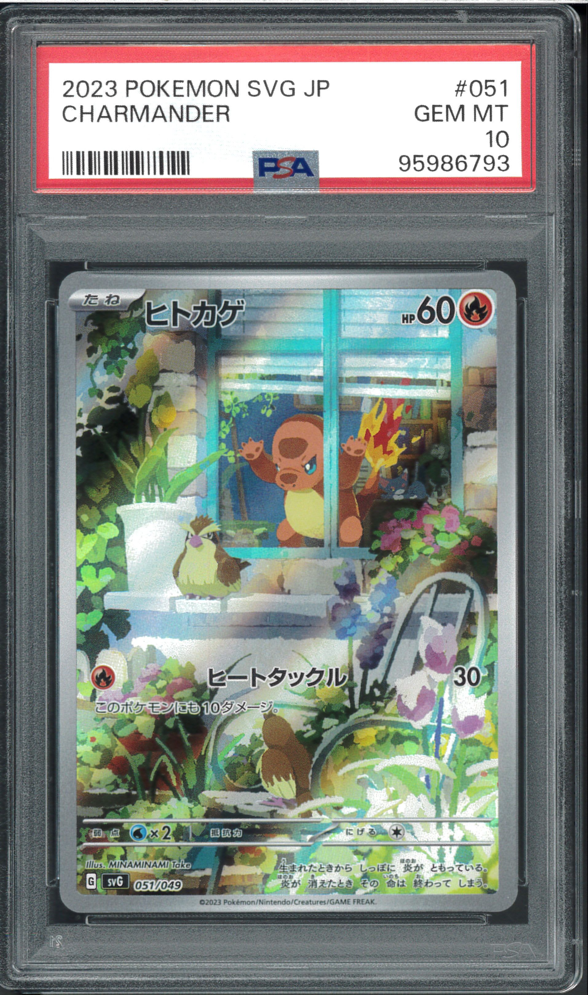 ヒトカゲ :フルイラスト [SVG 051/049](スペシャルデッキセットex「フシギバナ・リザードン・カメックス」)