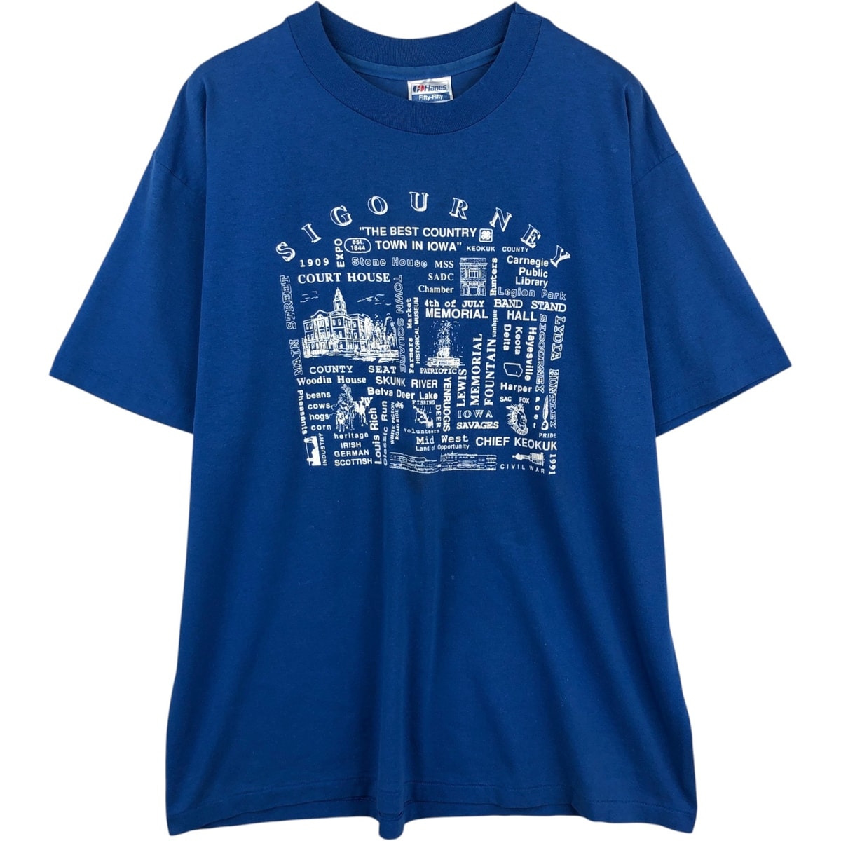 古着 80年代 ヘインズ Hanes Fifty-Fifty 青タグ スーベニアTシャツ USA製 メンズXL相当 ヴィンテージ/eaa648194
