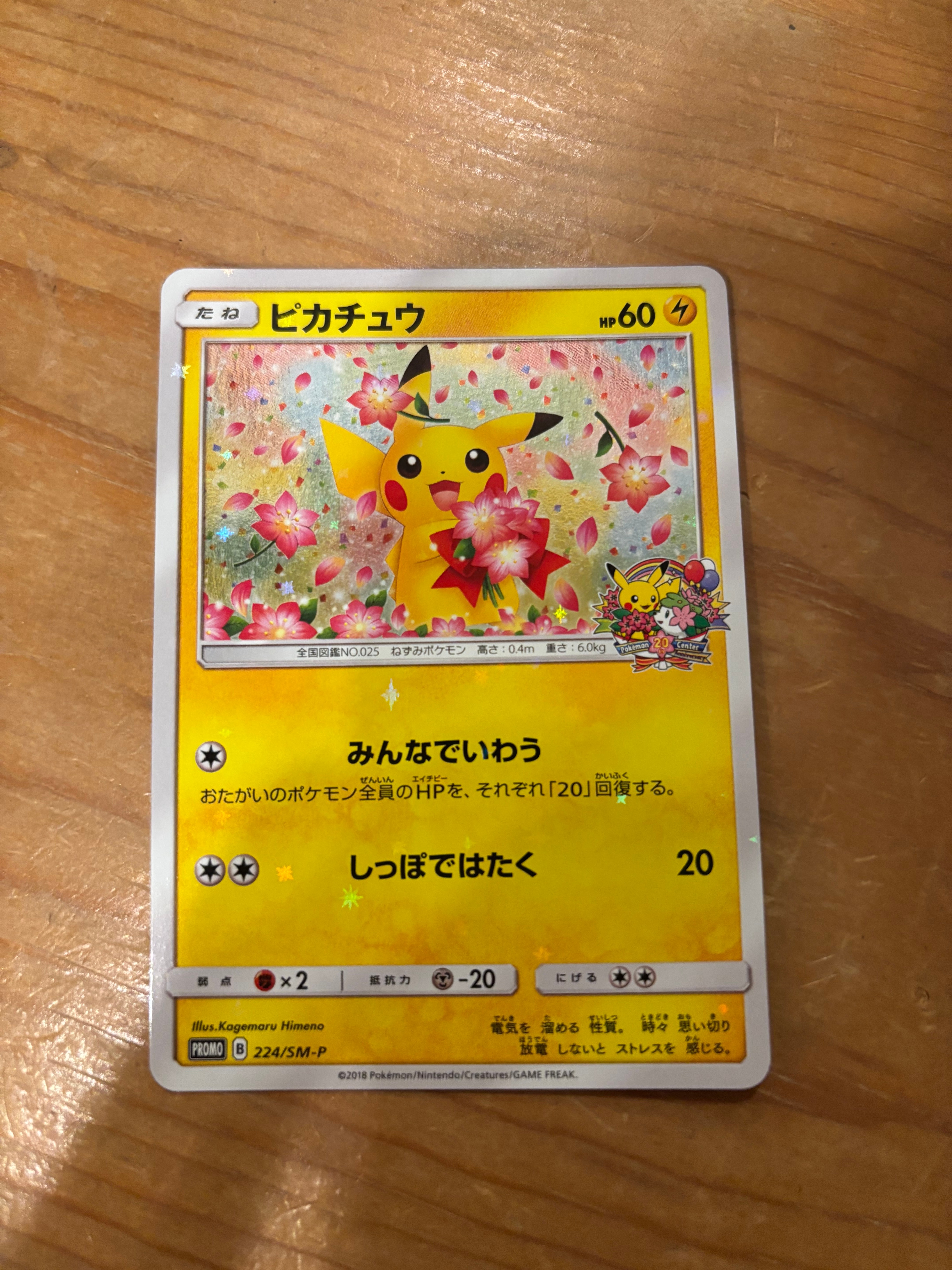 PSA10】ピカチュウ: プロモ[SM-P 224](プロモーションカード「SM-P