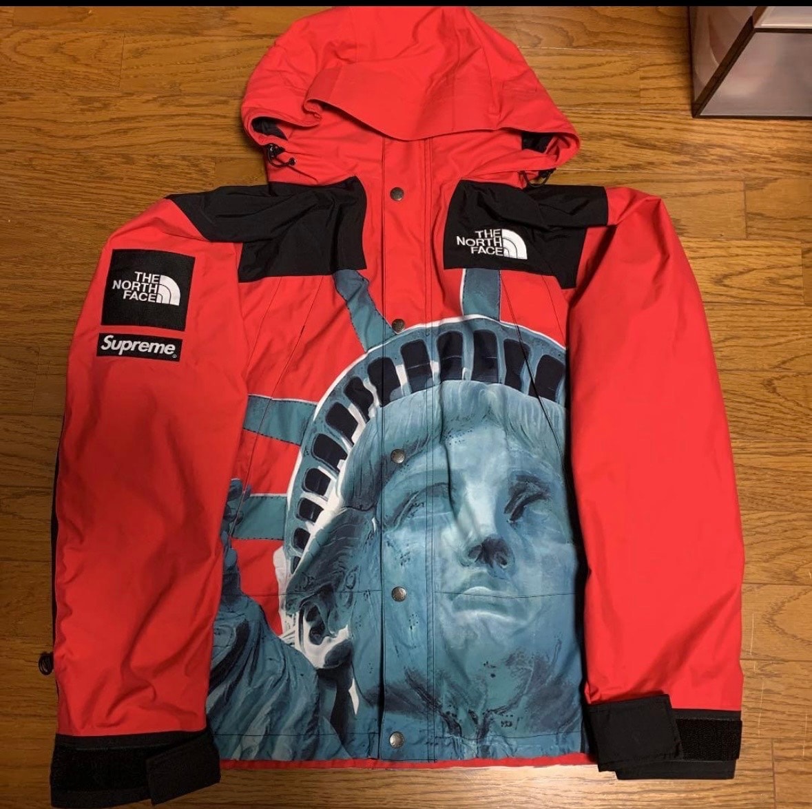 Supreme x The North Face Statue of Liberty Mountain Jacket "Red"